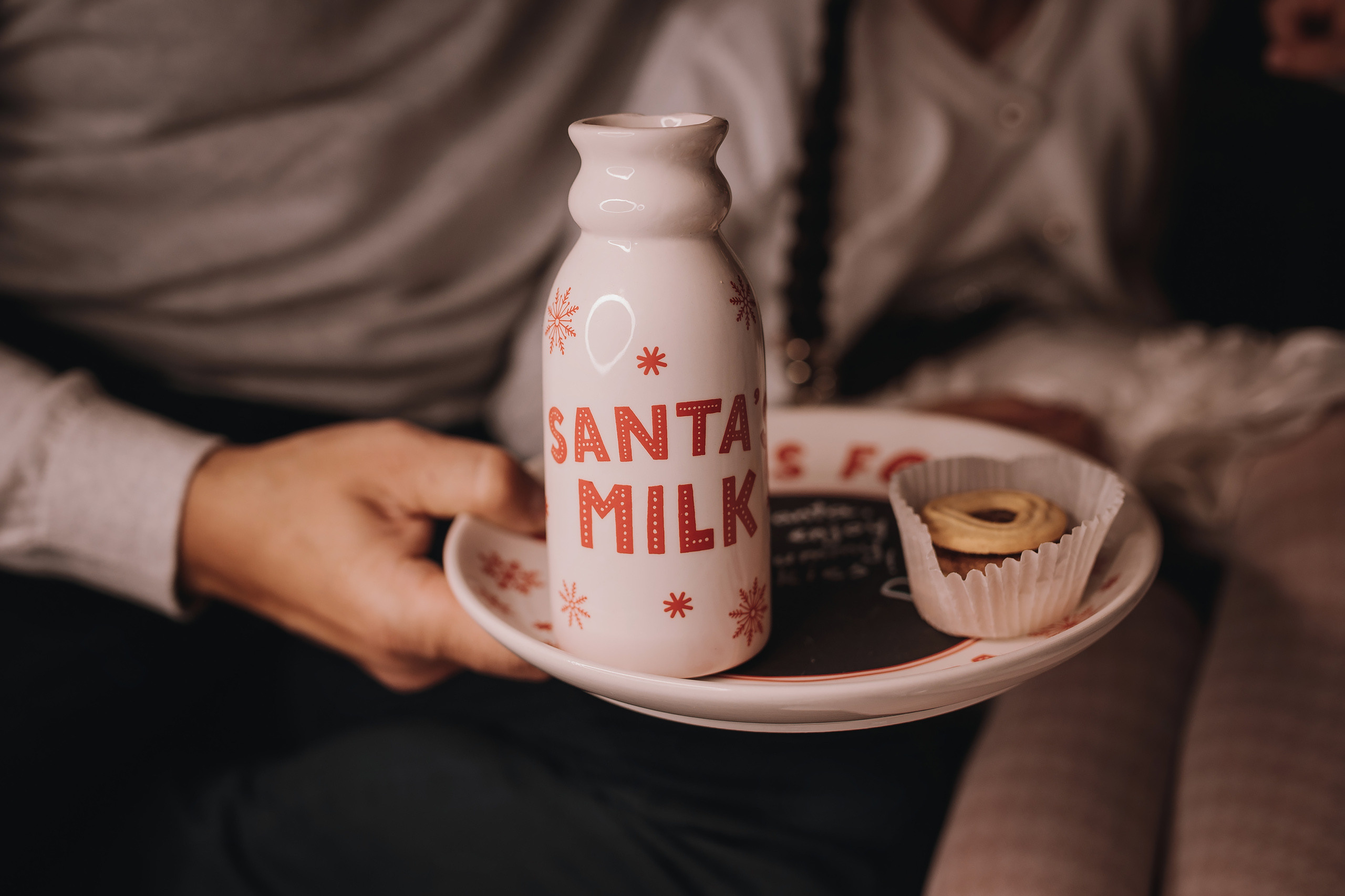 14.01.2023 Christmas Photoshoot 24. Wedding family event photographer in Chicago Nick Yushevich