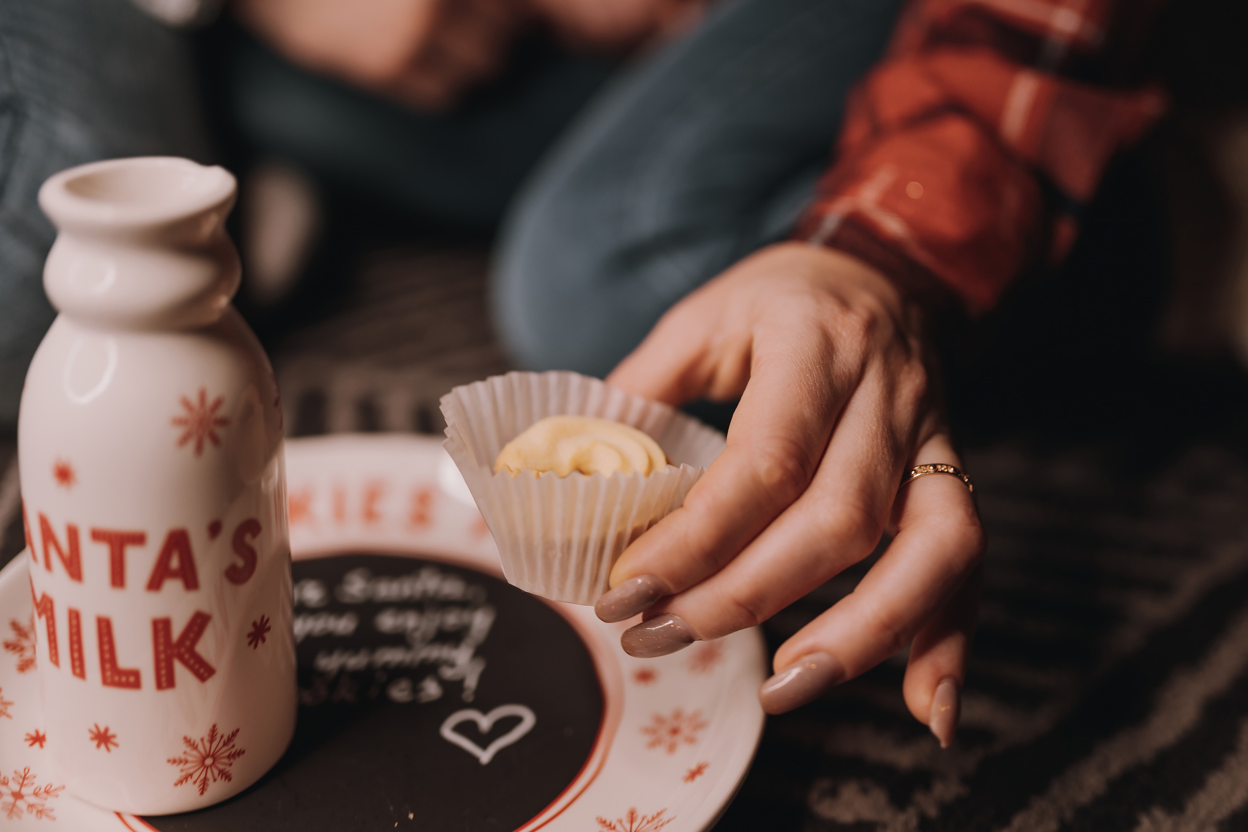 12.11.2022 Christmas Photoshoot 19. Wedding family event photographer in Chicago Nick Yushevich