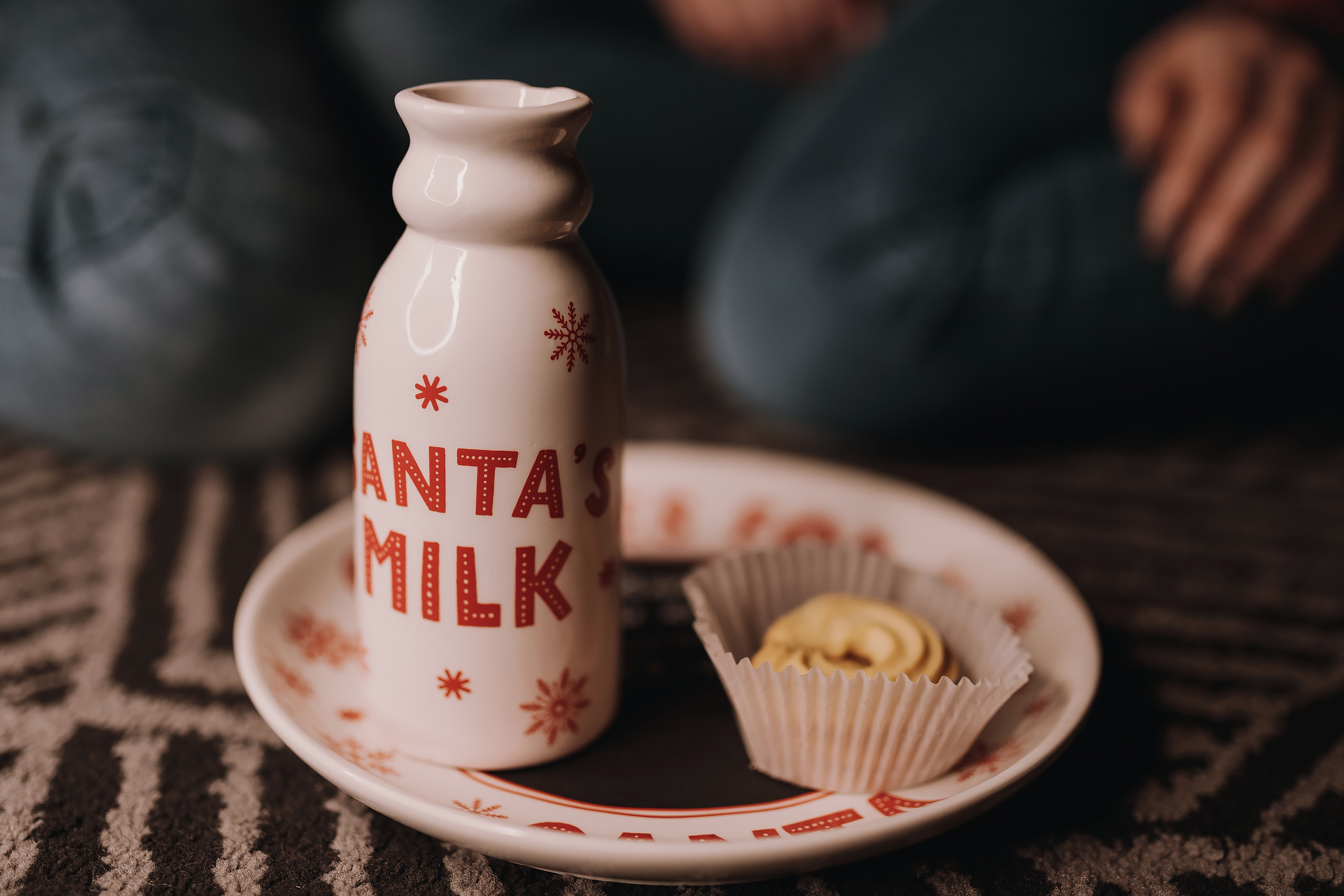 12.11.2022 Christmas Photoshoot 19. Wedding family event photographer in Chicago Nick Yushevich