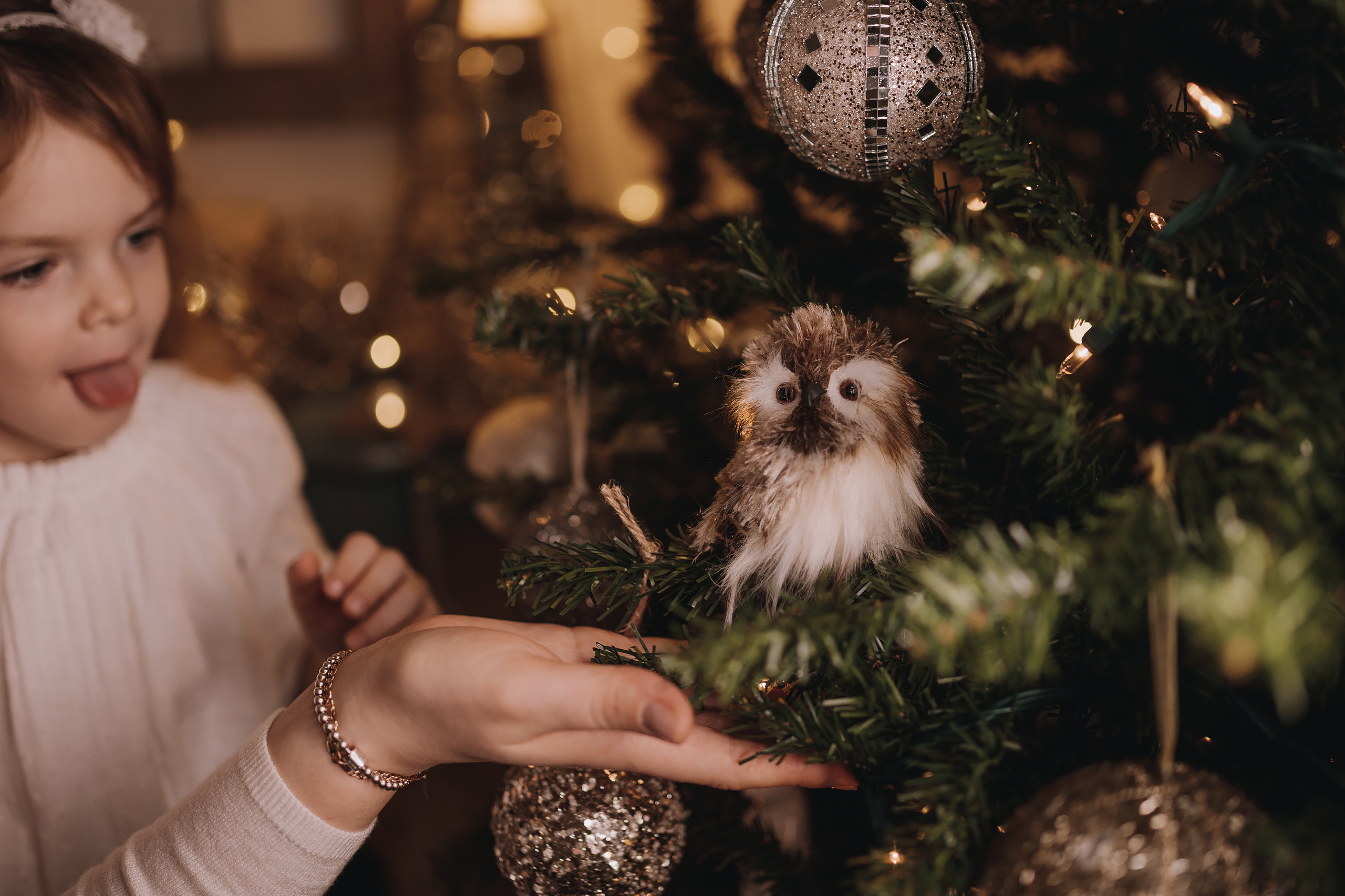 12.03.2022 Christmas Photoshoot 11. Wedding family event photographer in Chicago Nick Yushevich