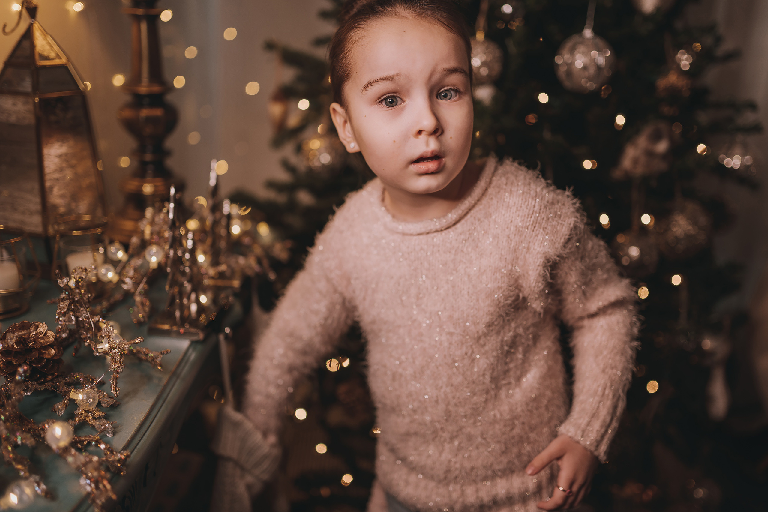 17.12.2022 Christmas Photoshoot 21. Wedding family event photographer in Chicago Nick Yushevich