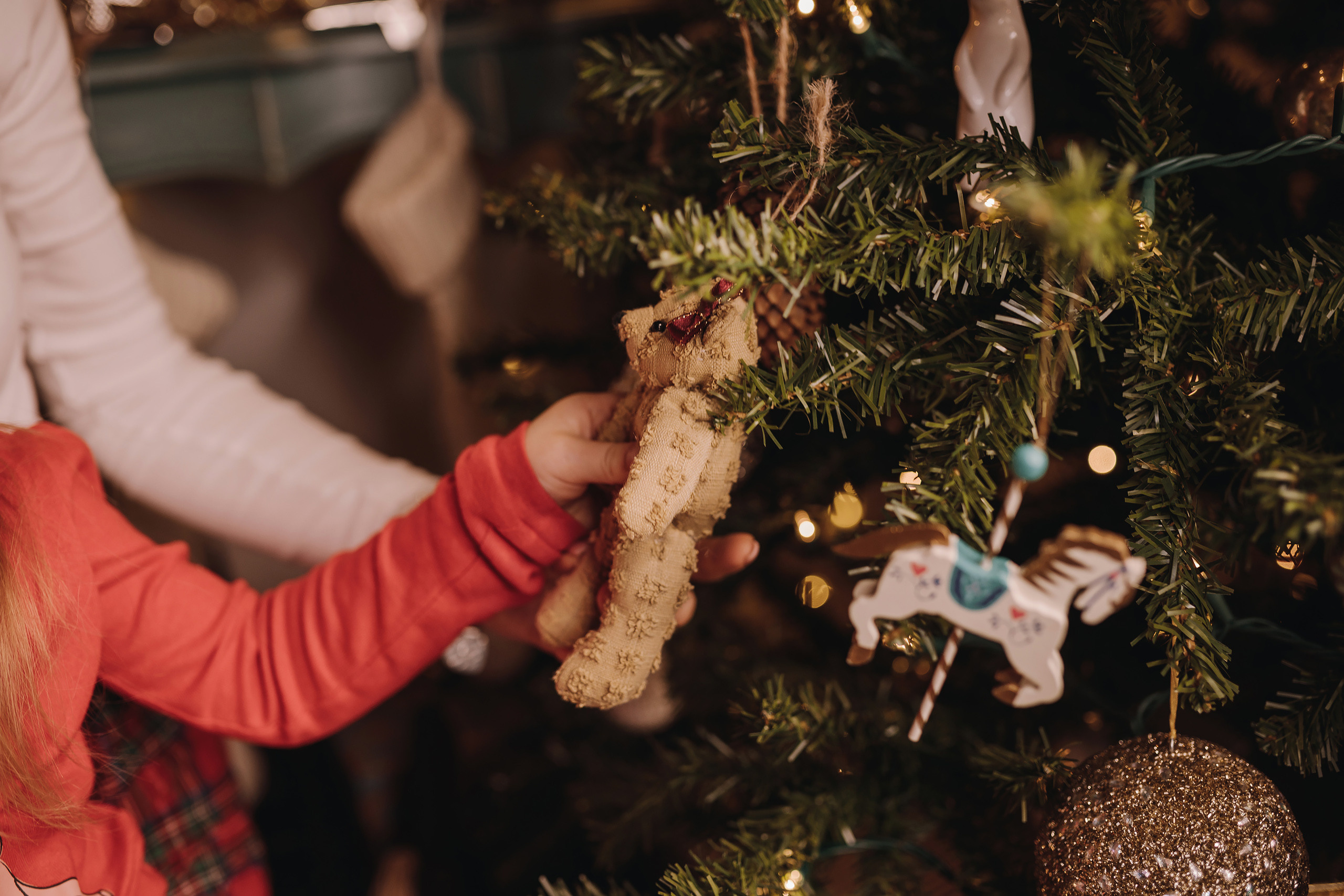 13.12.2022 Christmas Photoshoot 20. Wedding family event photographer in Chicago Nick Yushevich