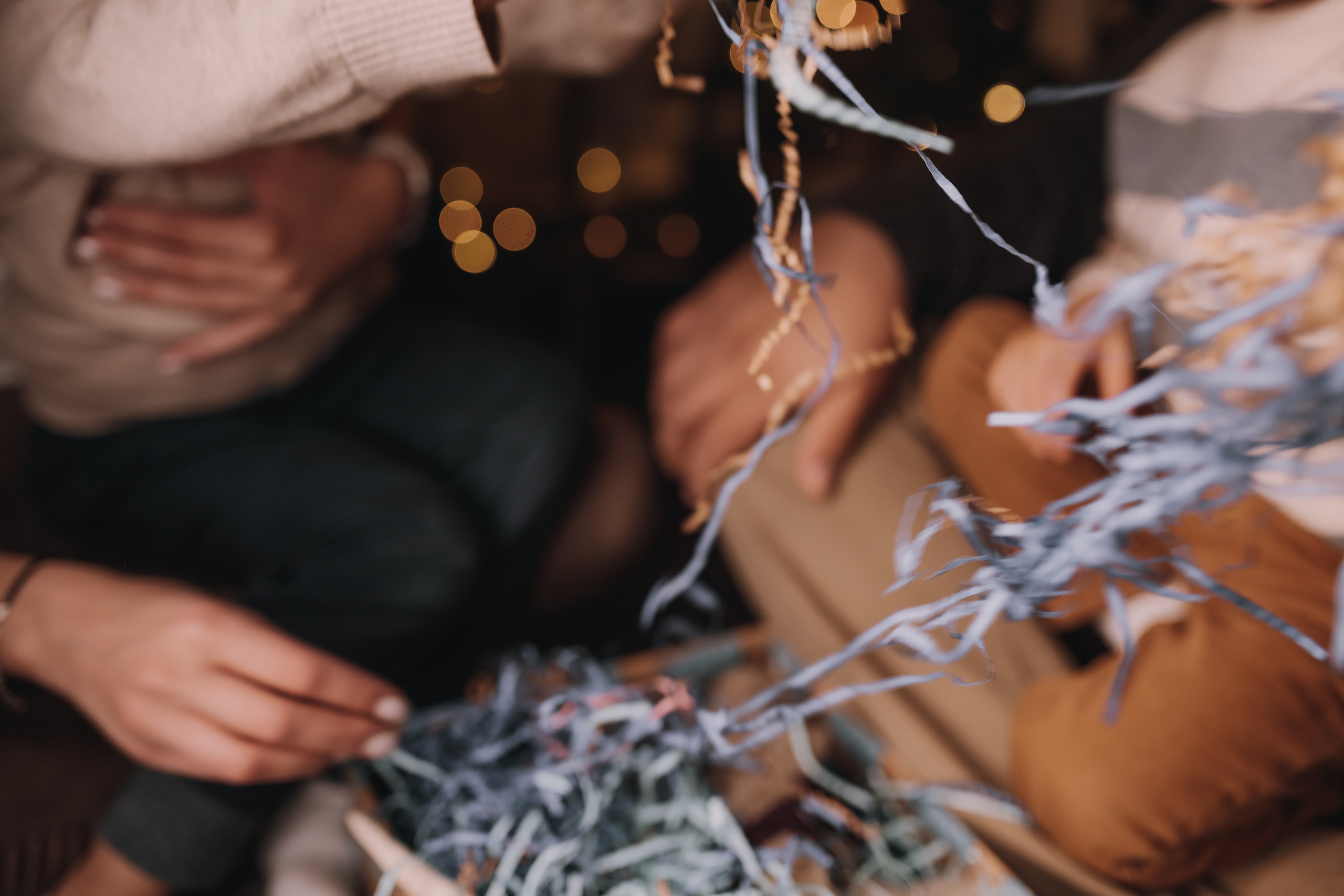 12.11.2022 Christmas Photoshoot 18. Wedding family event photographer in Chicago Nick Yushevich