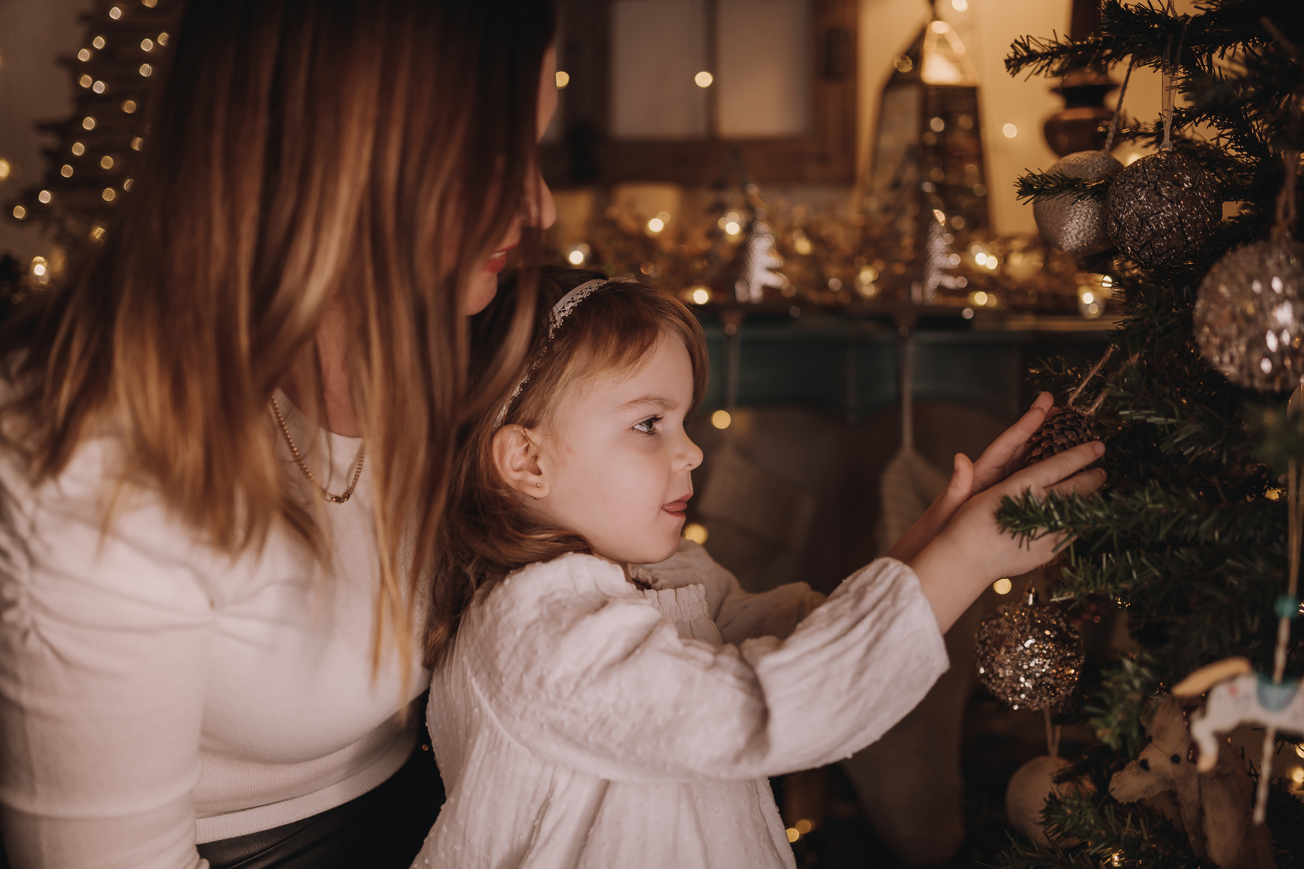 12.03.2022 Christmas Photoshoot 11. Wedding family event photographer in Chicago Nick Yushevich