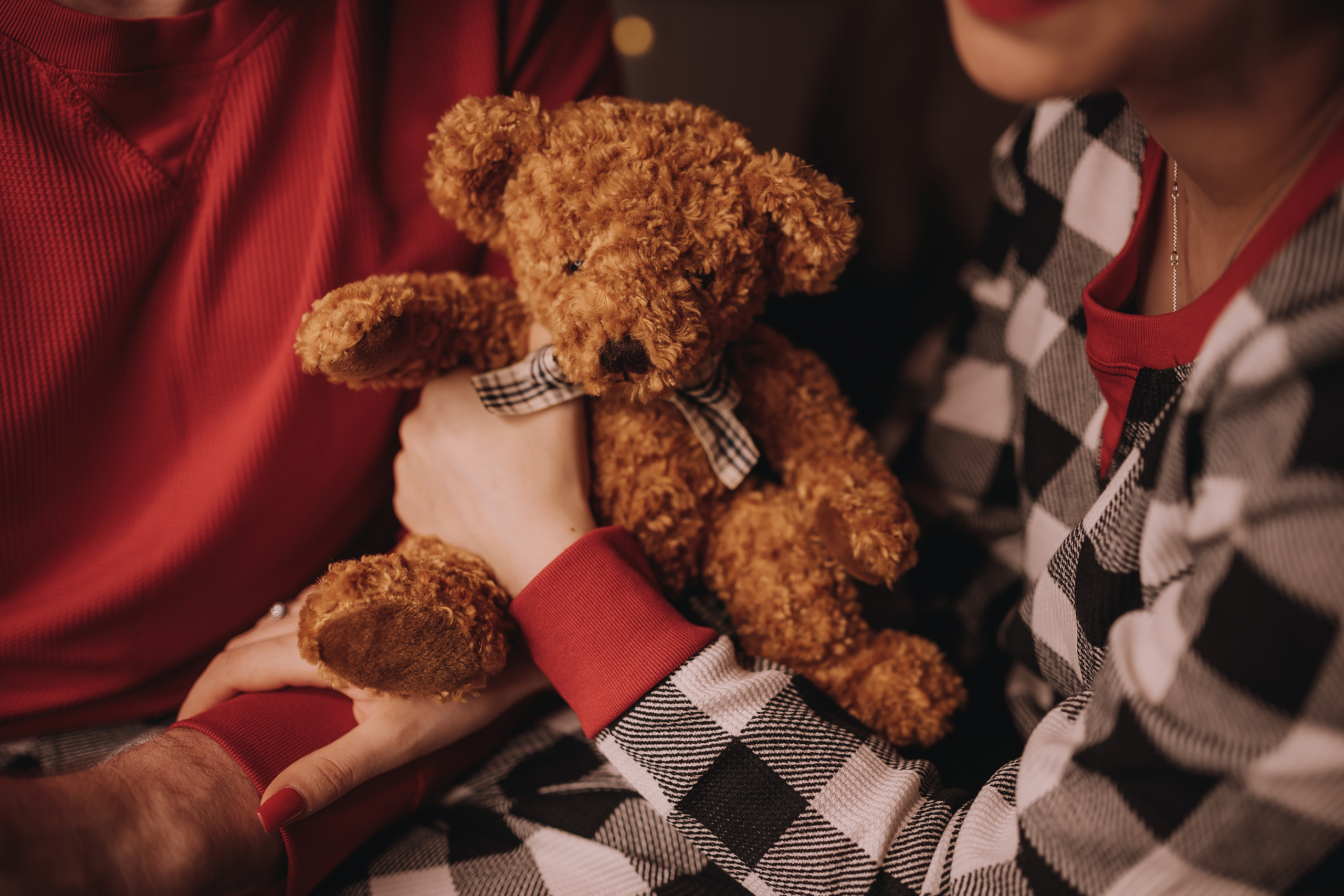 12.03.2022 Christmas Photoshoot 14. Wedding family event photographer in Chicago Nick Yushevich