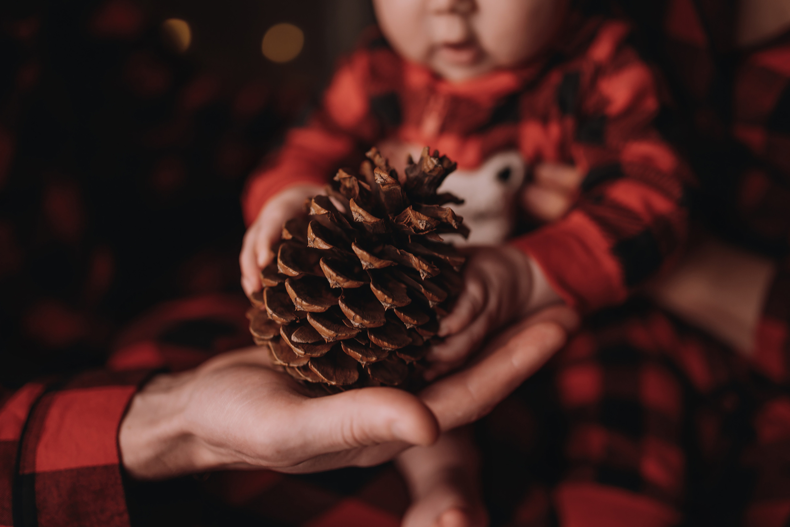 09.01.2023 Christmas Photoshoot 21. Wedding family event photographer in Chicago Nick Yushevich