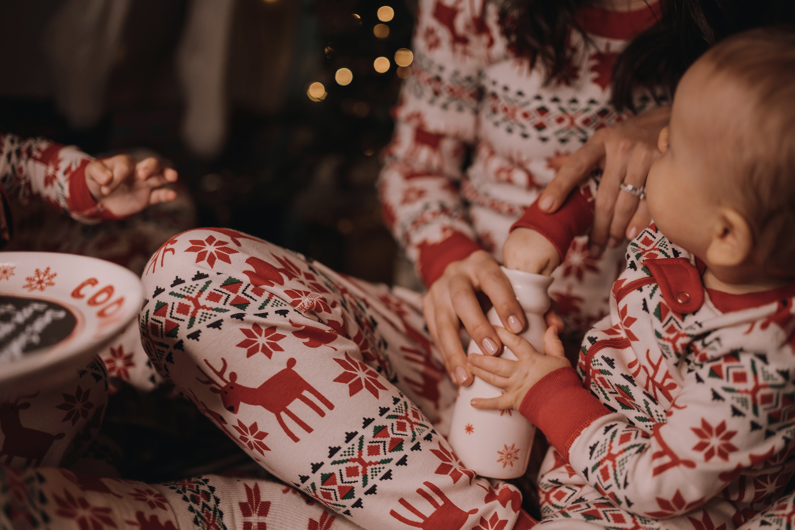 29.01.2023 Christmas Photoshoot 25. Wedding family event photographer in Chicago Nick Yushevich