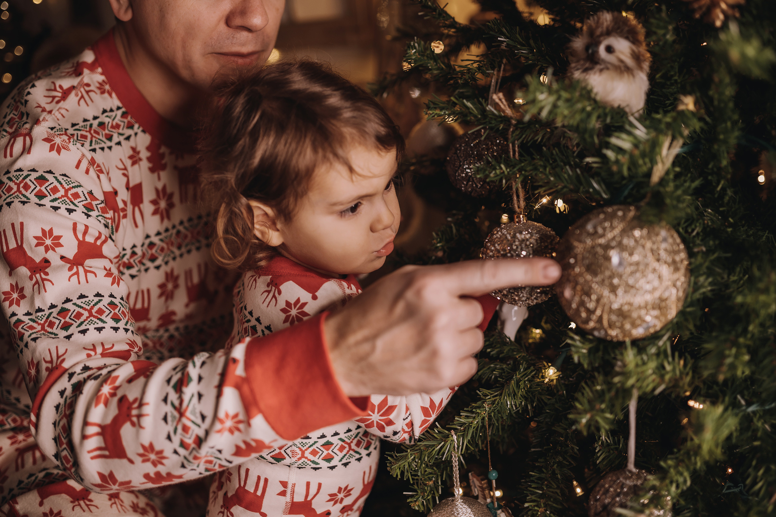 29.01.2023 Christmas Photoshoot 25. Wedding family event photographer in Chicago Nick Yushevich