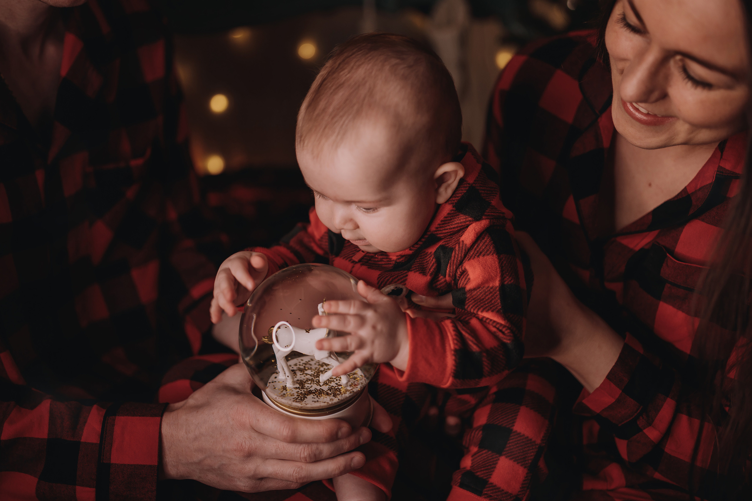 09.01.2023 Christmas Photoshoot 21. Wedding family event photographer in Chicago Nick Yushevich