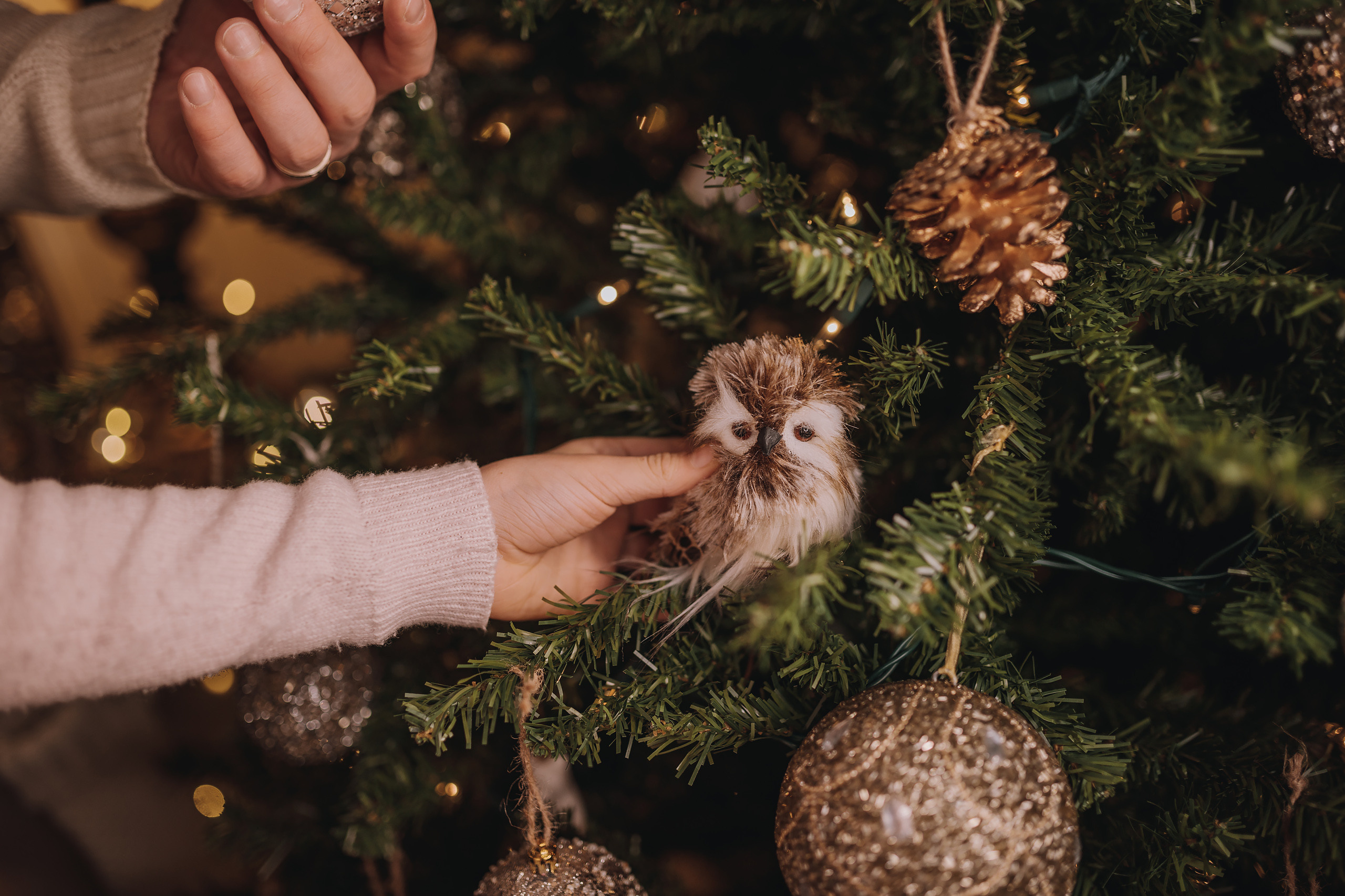 12.10.2022 Christmas Photoshoot 17. Wedding family event photographer in Chicago Nick Yushevich