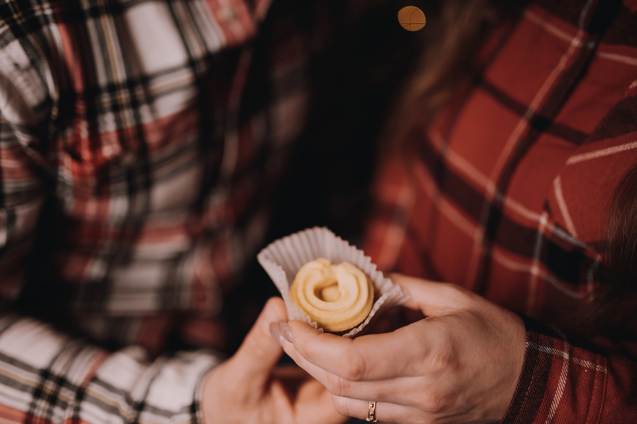 12.11.2022 Christmas Photoshoot 19. Wedding family event photographer in Chicago Nick Yushevich