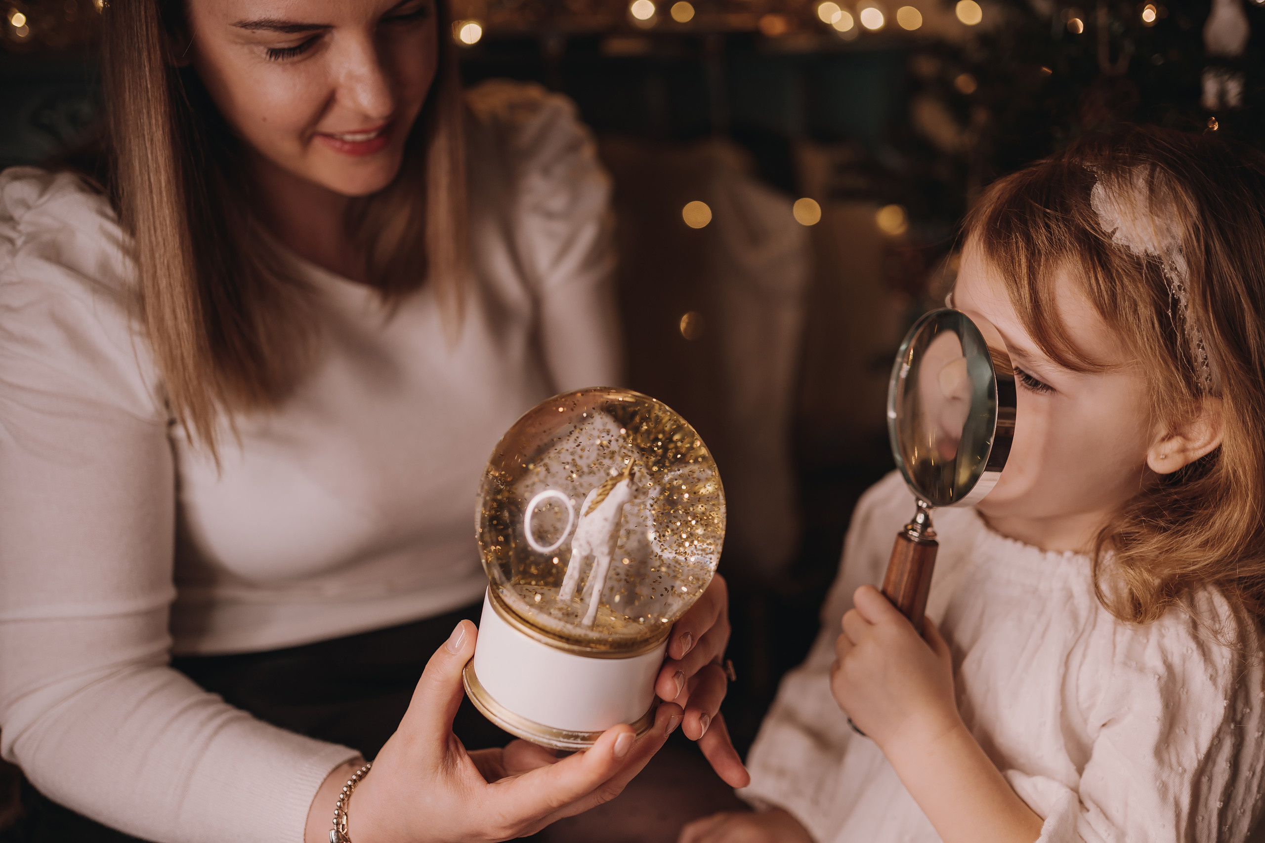 12.03.2022 Christmas Photoshoot 11. Wedding family event photographer in Chicago Nick Yushevich