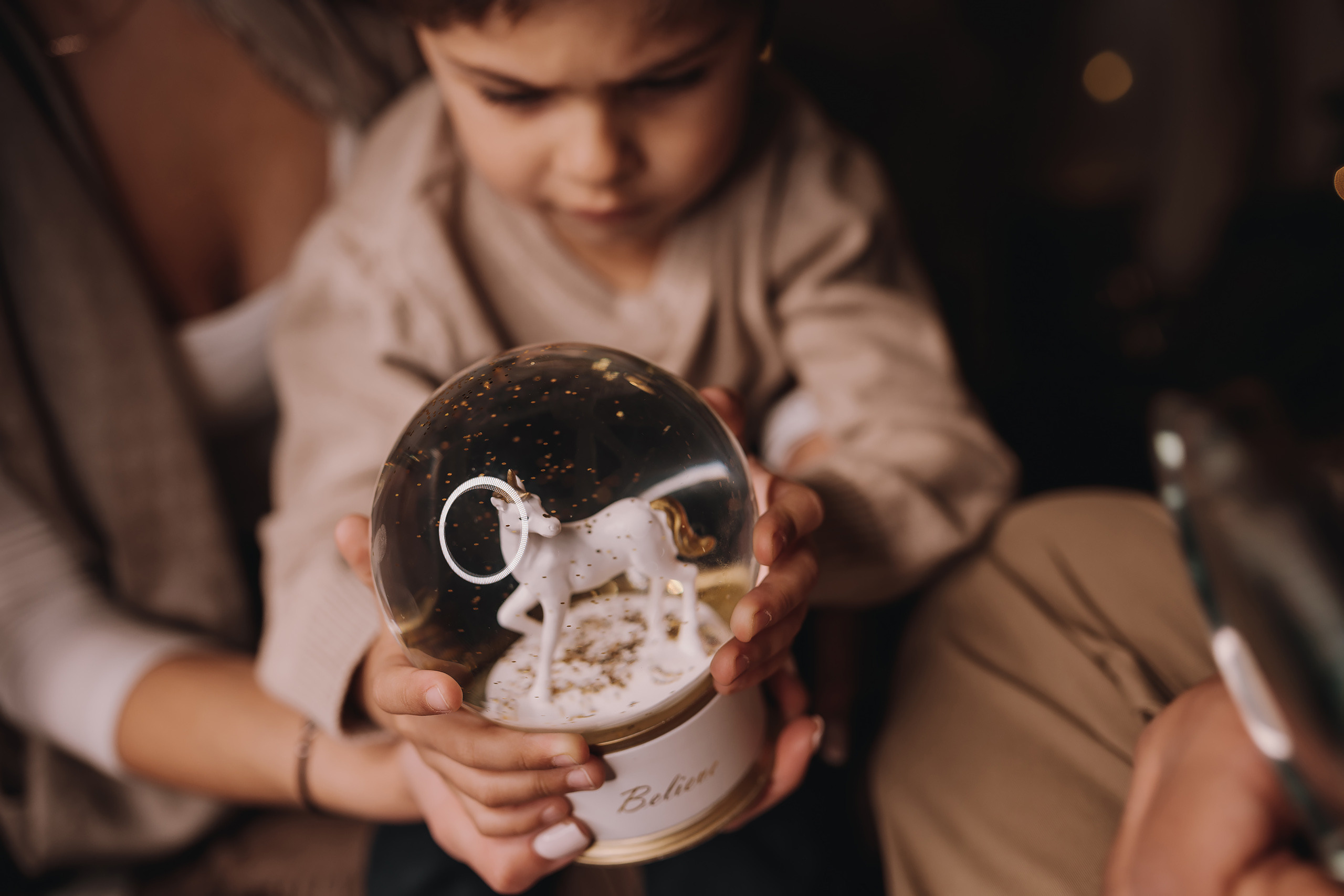 12.11.2022 Christmas Photoshoot 18. Wedding family event photographer in Chicago Nick Yushevich