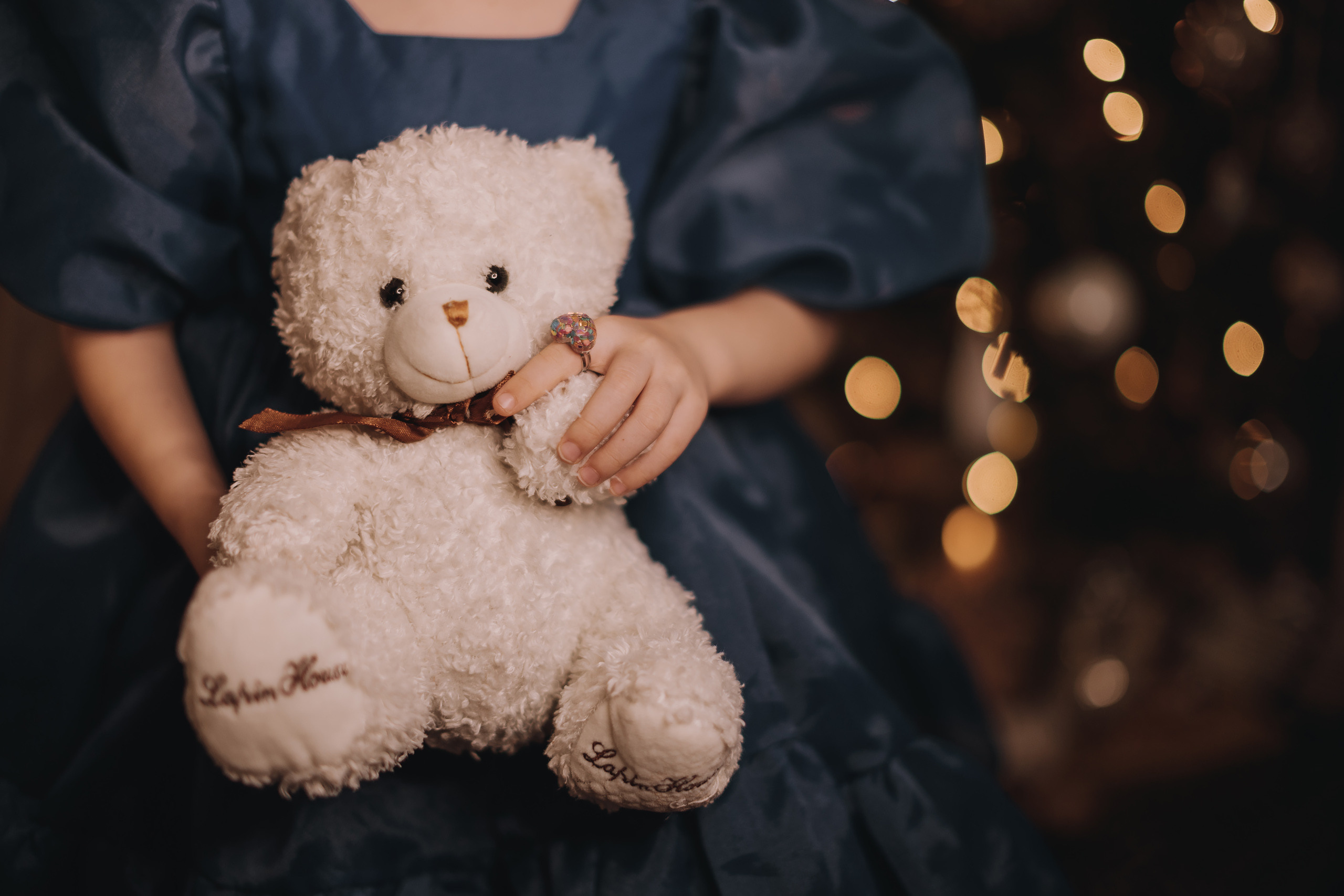 12.03.2022 Christmas Photoshoot 11. Wedding family event photographer in Chicago Nick Yushevich