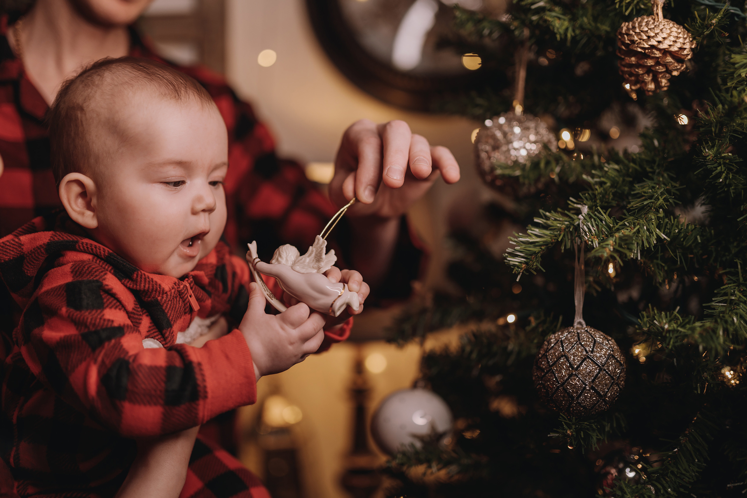 09.01.2023 Christmas Photoshoot 21. Wedding family event photographer in Chicago Nick Yushevich