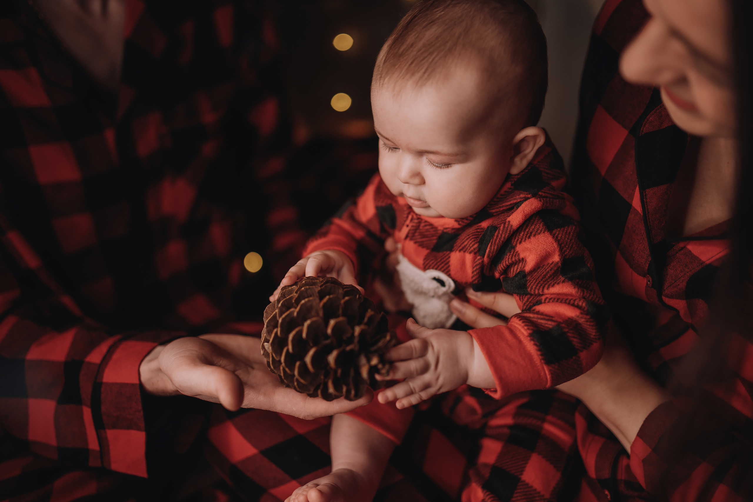 09.01.2023 Christmas Photoshoot 21. Wedding family event photographer in Chicago Nick Yushevich