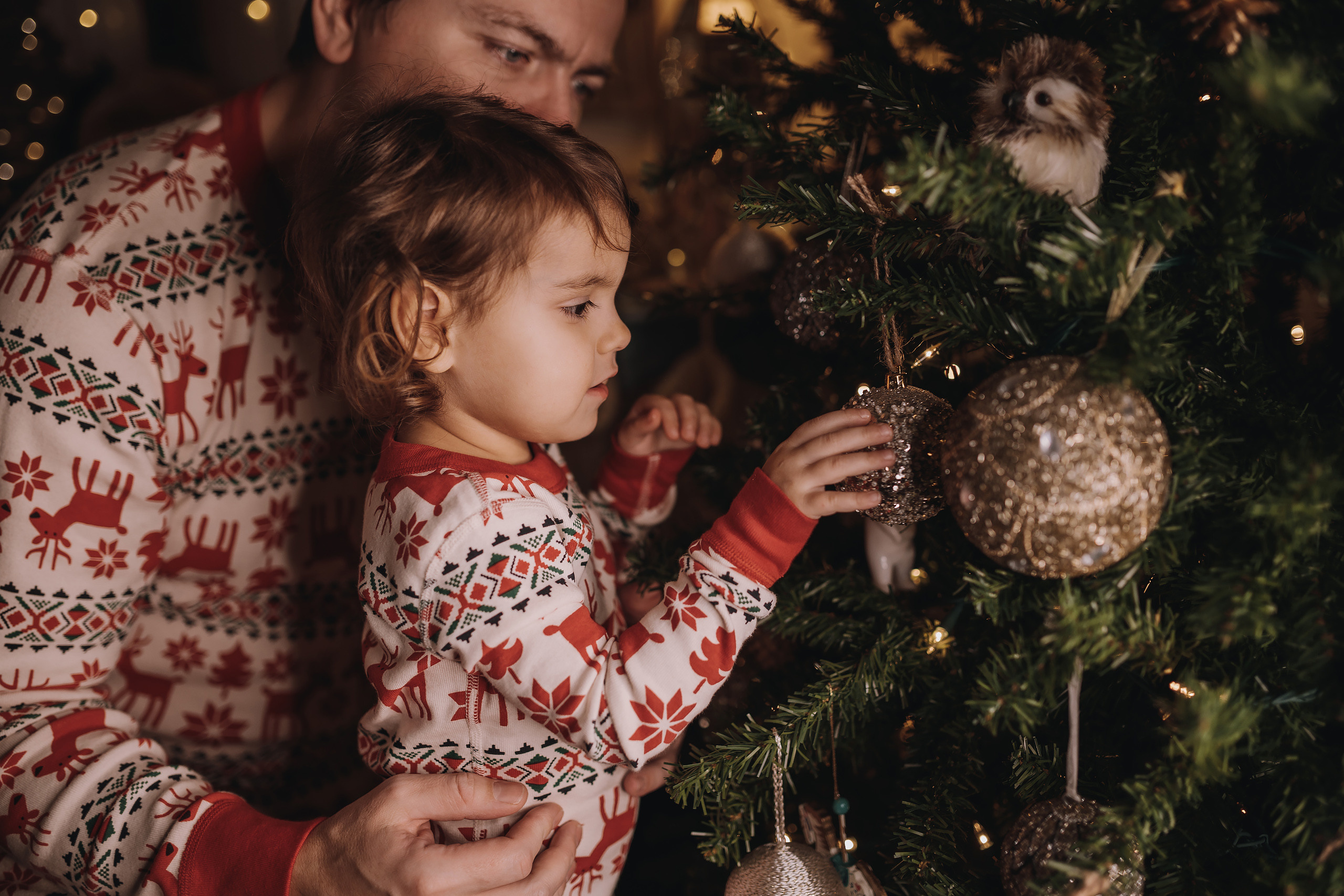 29.01.2023 Christmas Photoshoot 25. Wedding family event photographer in Chicago Nick Yushevich