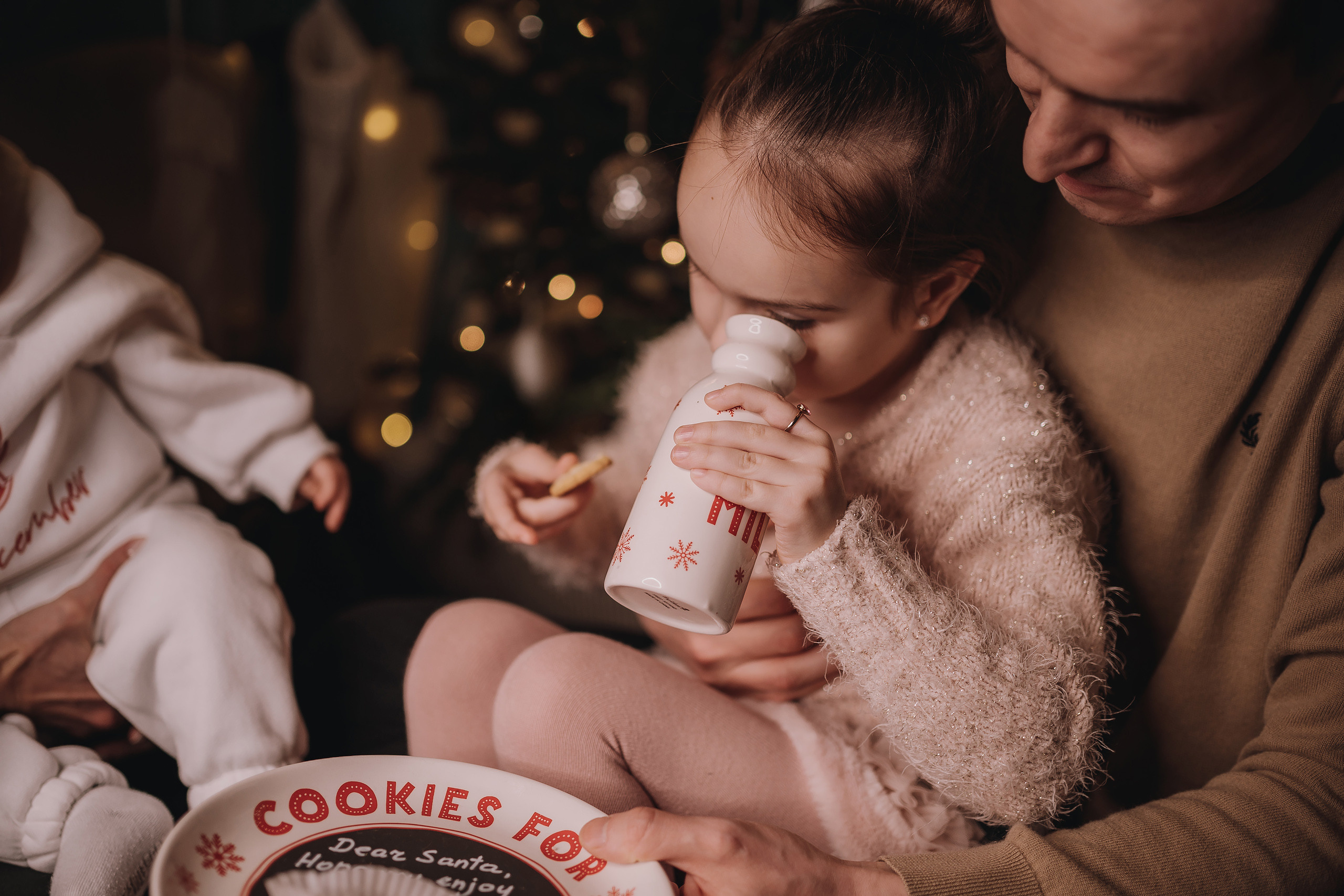 17.12.2022 Christmas Photoshoot 21. Wedding family event photographer in Chicago Nick Yushevich