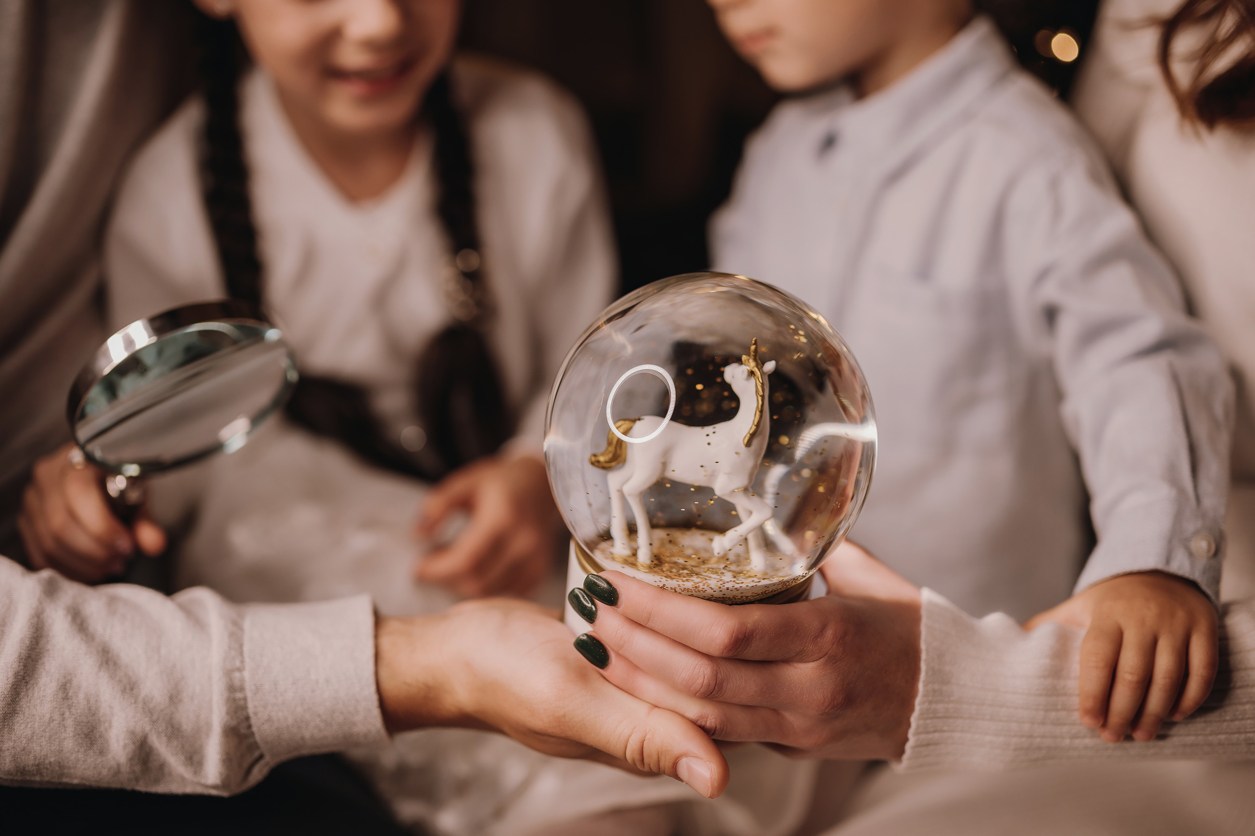 14.01.2023 Christmas Photoshoot 24. Wedding family event photographer in Chicago Nick Yushevich