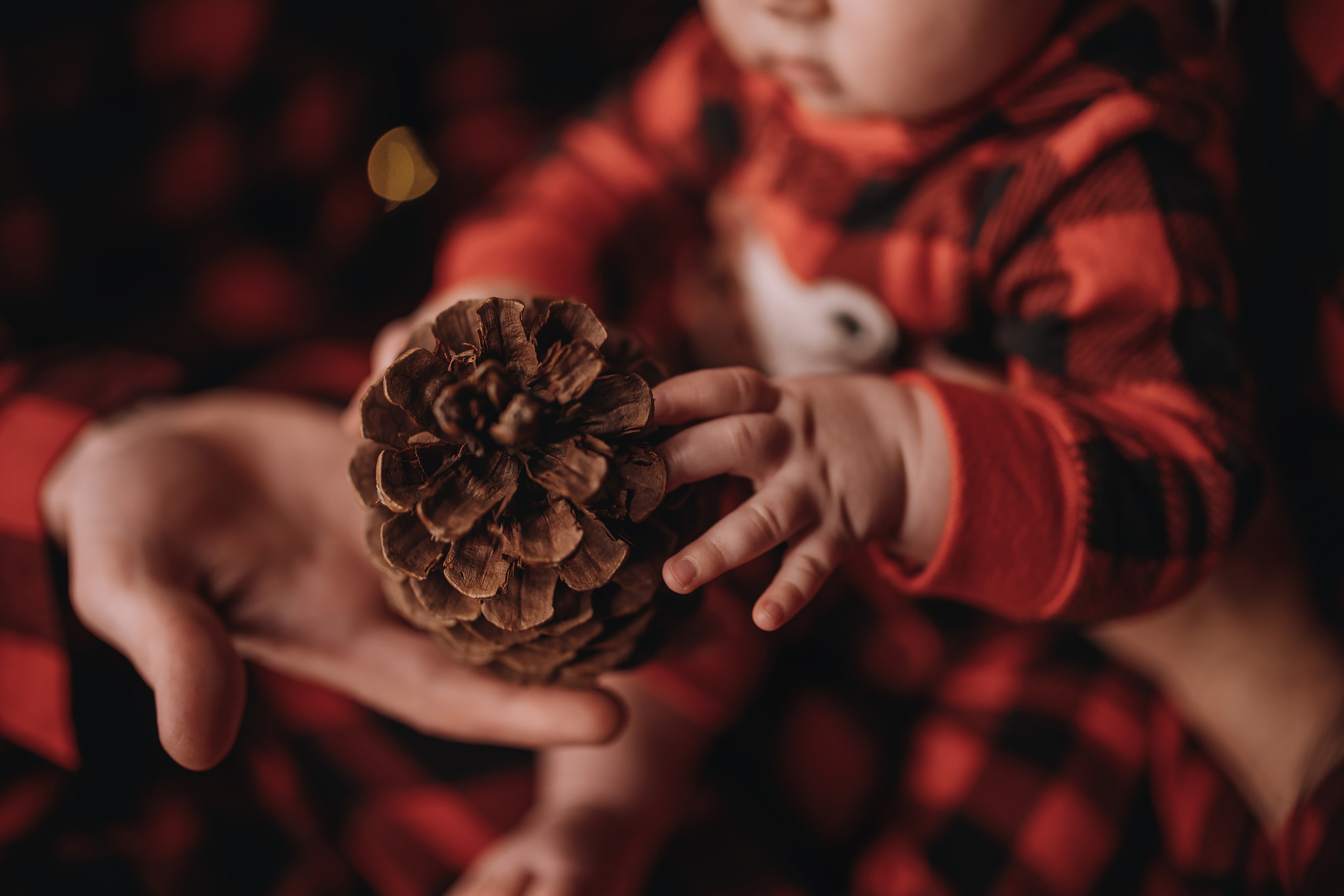 09.01.2023 Christmas Photoshoot 21. Wedding family event photographer in Chicago Nick Yushevich