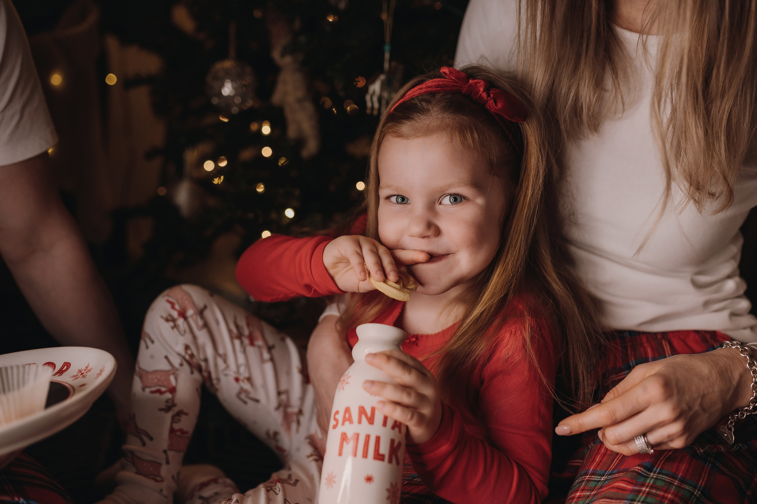 13.12.2022 Christmas Photoshoot 20. Wedding family event photographer in Chicago Nick Yushevich