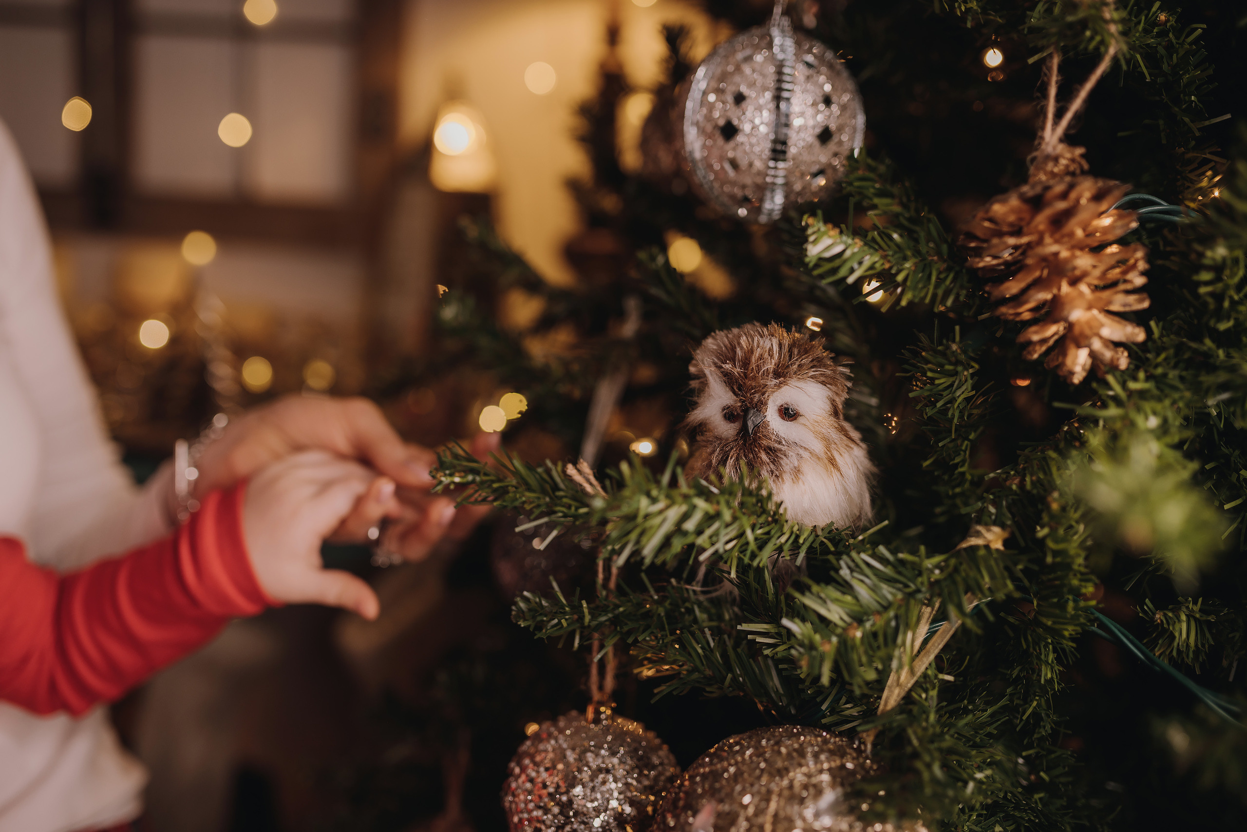 13.12.2022 Christmas Photoshoot 20. Wedding family event photographer in Chicago Nick Yushevich