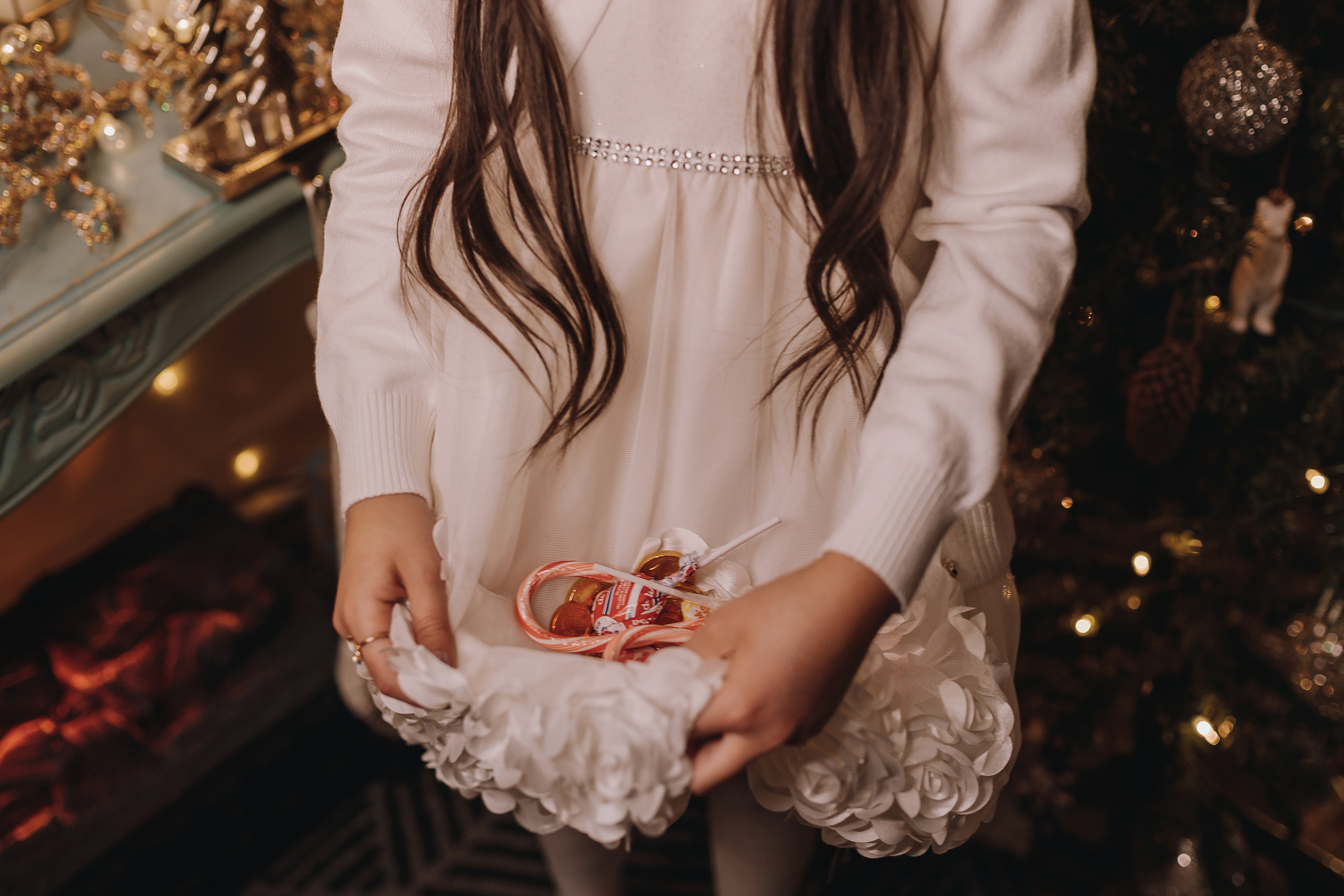 14.01.2023 Christmas Photoshoot 24. Wedding family event photographer in Chicago Nick Yushevich