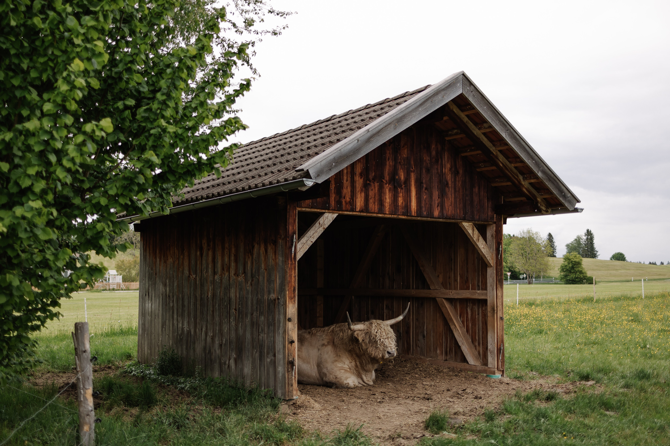 Reportage-Shooting. Fotografin Larysa Chepurko| Füssen| Garmisch-Partenkirchen| Weilheim| Schongau| Murnau| München | Hochzeitsfotograf Füssen | Larysa Photo