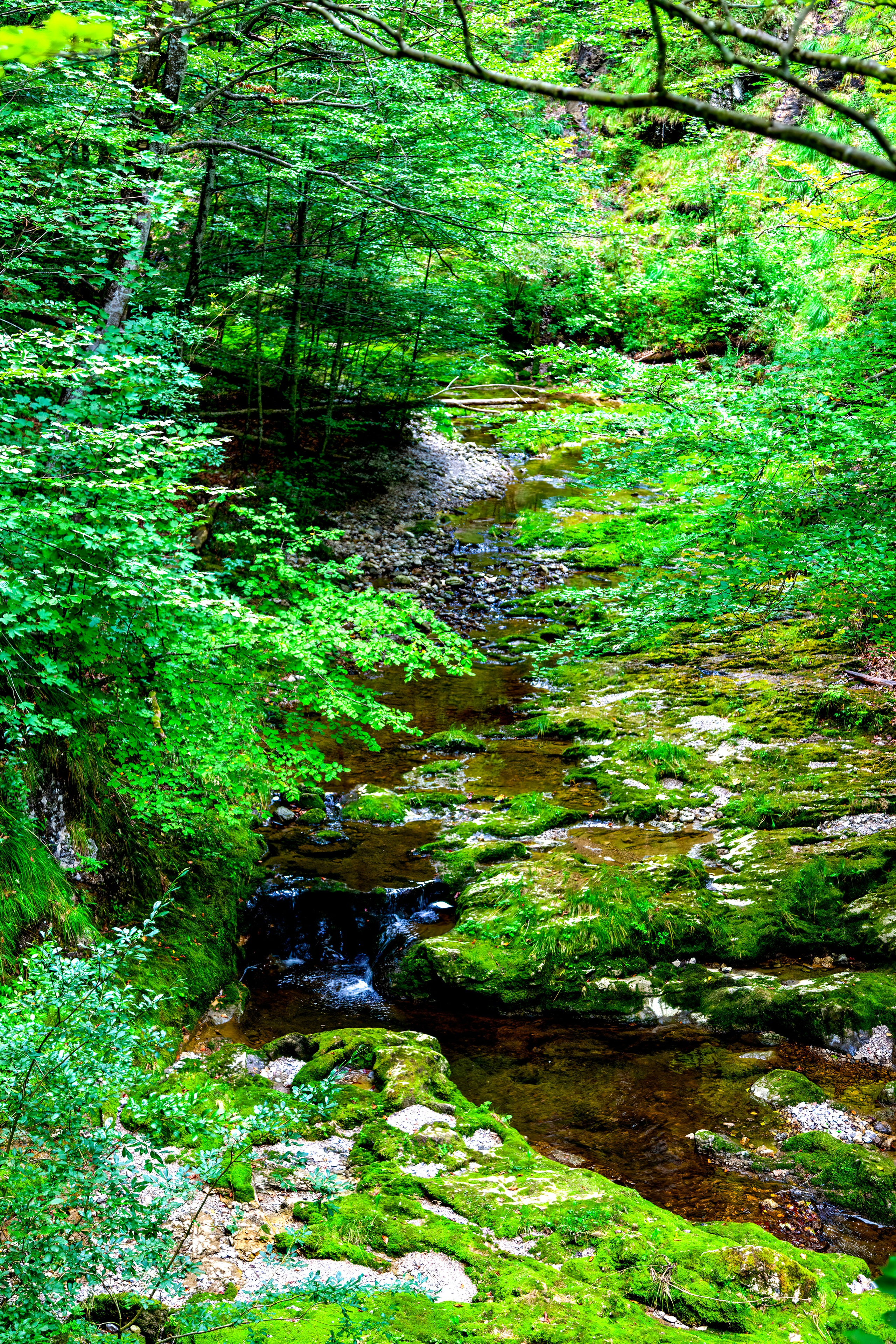 197.Ötscher Base Nature Park.Austria.21.8.2025. Путешествия в формате 360......