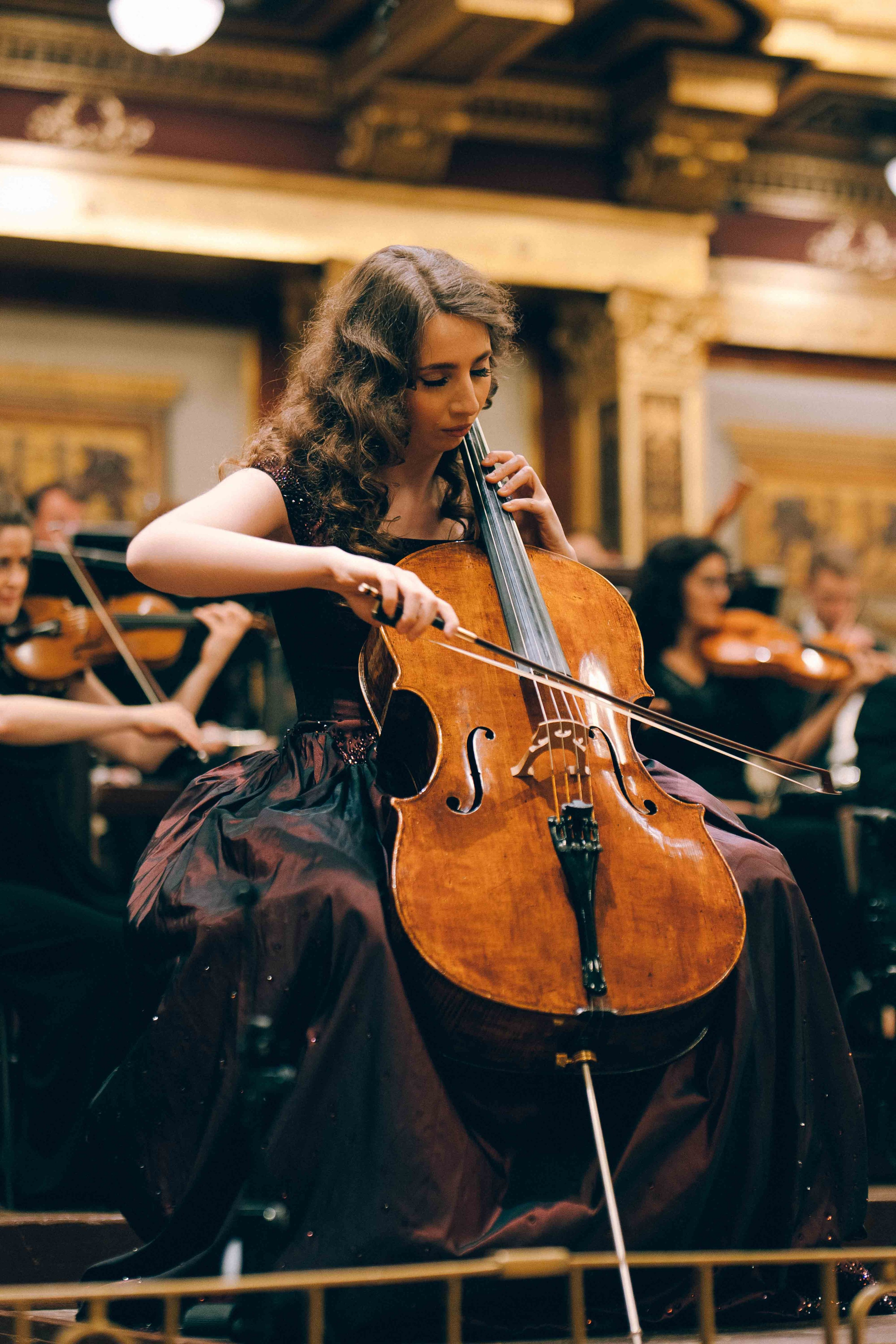 MUSIKVEREIN (VIENNA). Wedding&Event photographer Ismail Rzayev in Baku