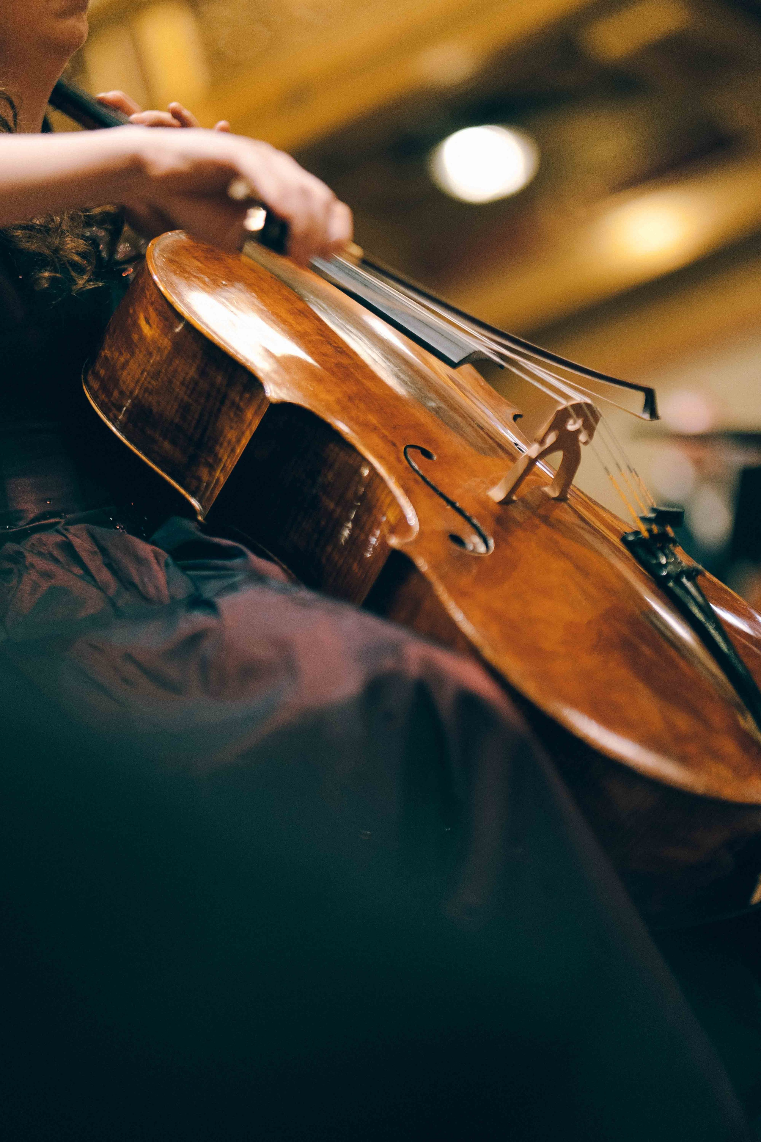 MUSIKVEREIN (VIENNA). Wedding&Event photographer Ismail Rzayev in Baku