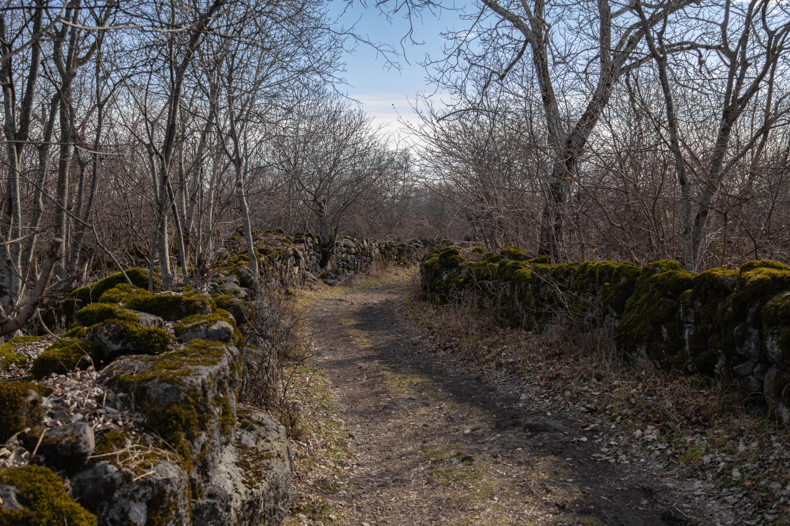 სამშვილდე. FramefreeMan