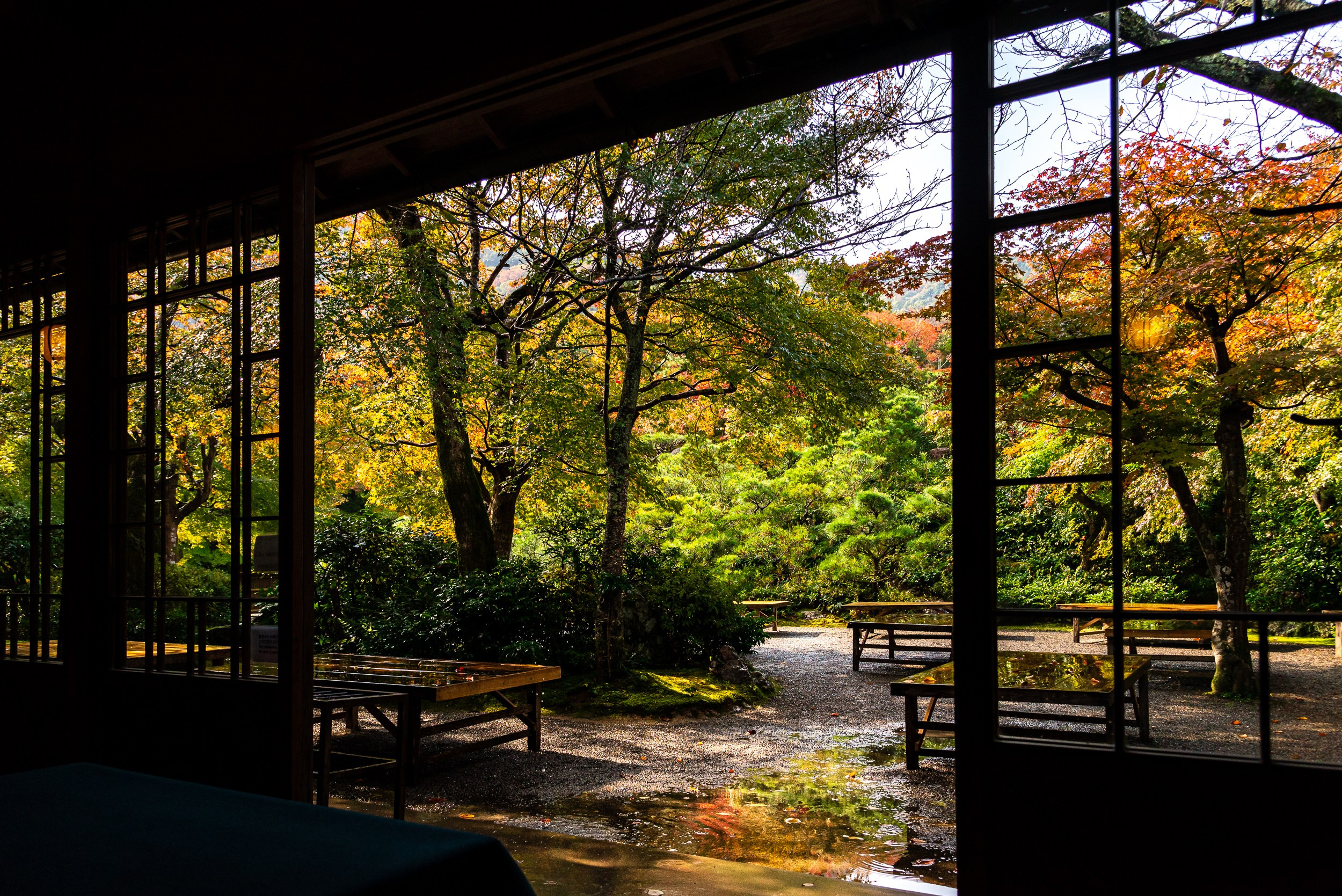 Japan. Marius Ciocan