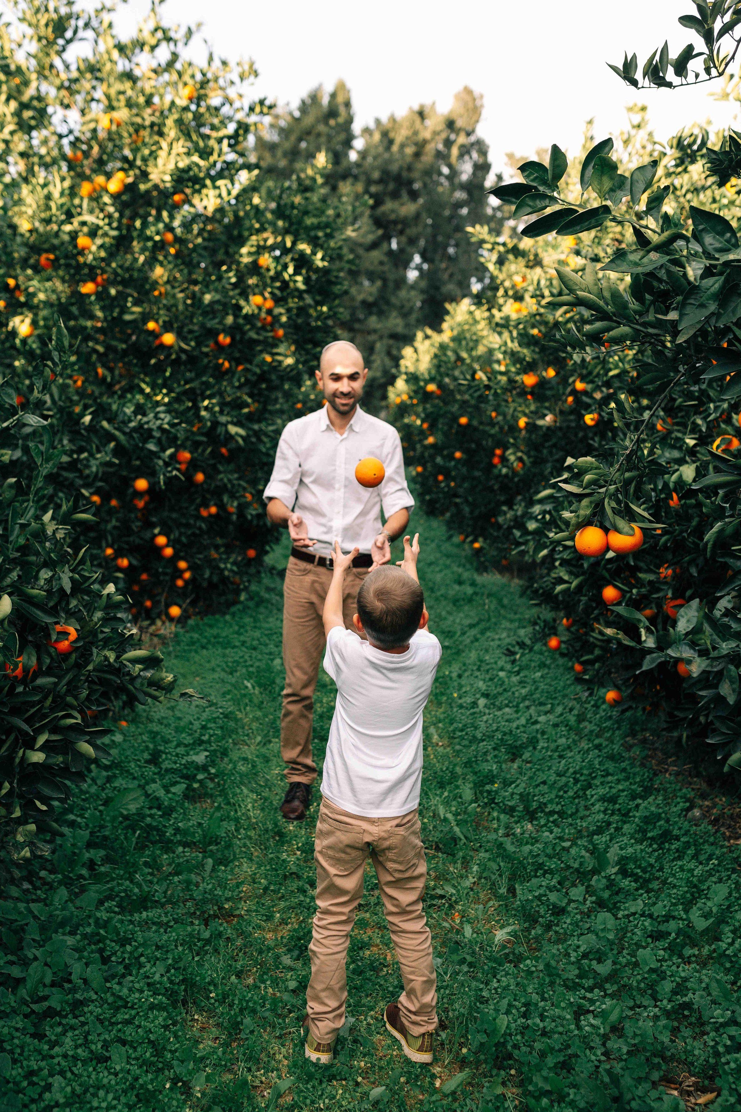 MANDARNINE GARDEN. Https://shi-photo.com/