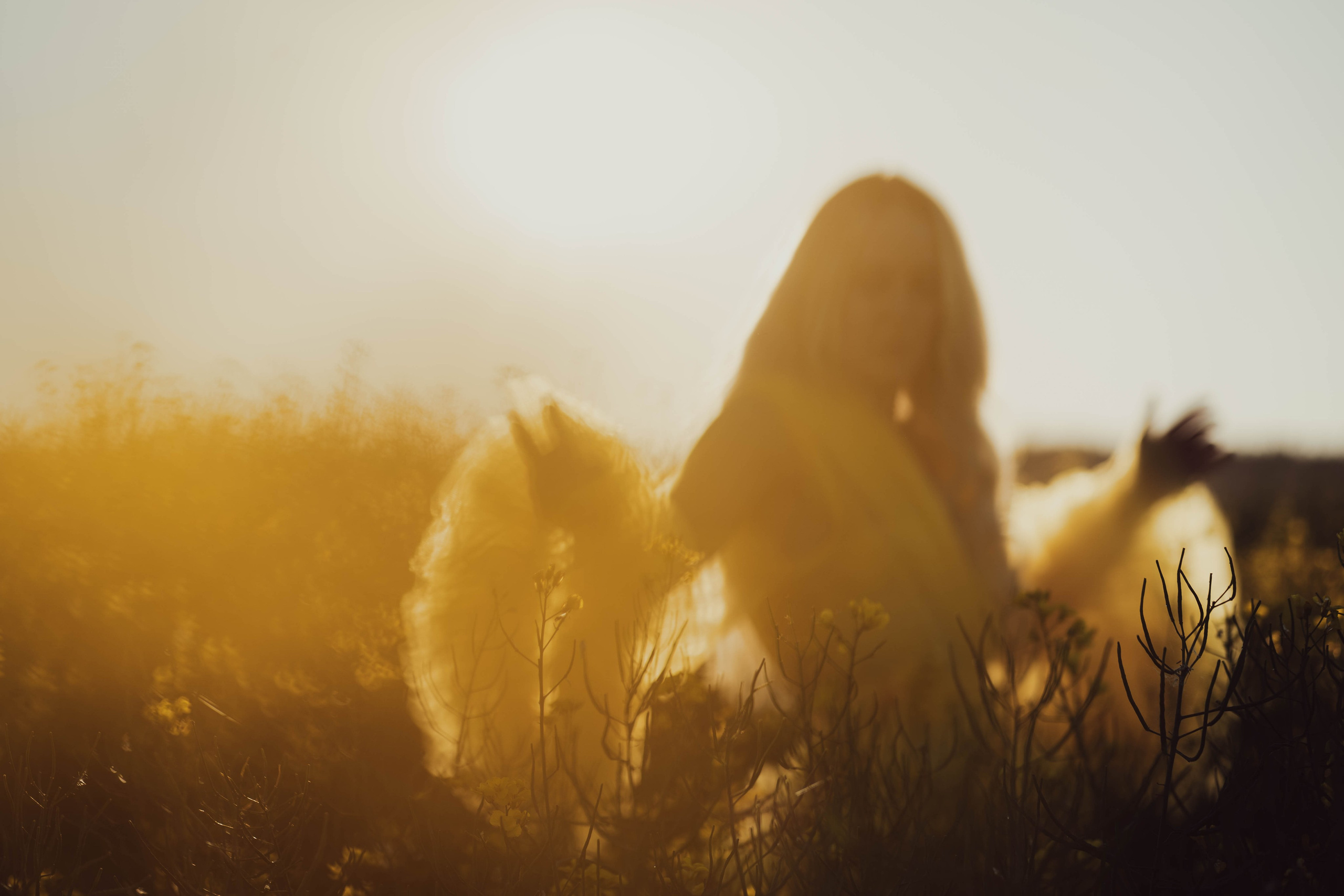 Egle rapsuose. Fotografija — Olga Bojarin