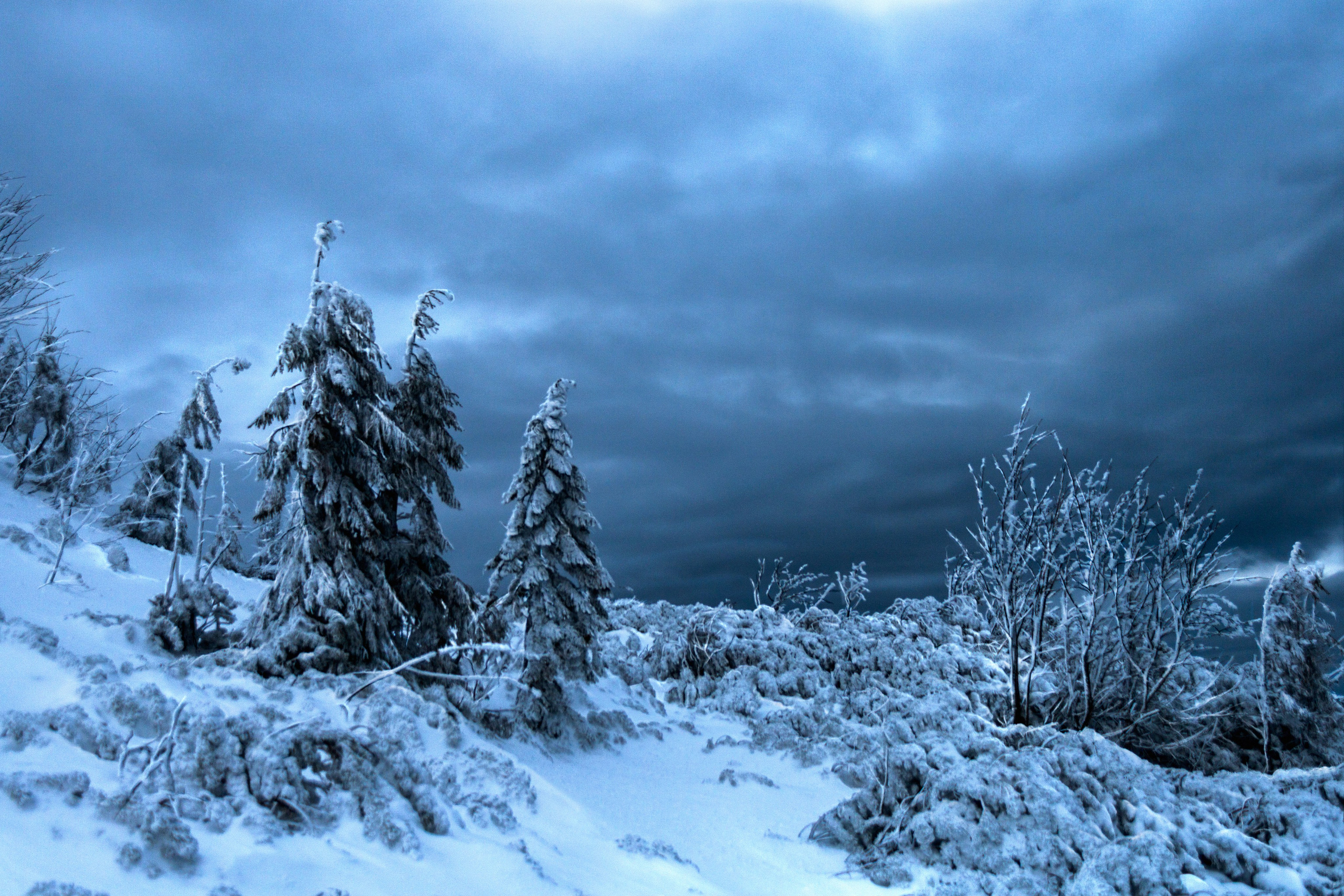 Mountain landscapes. Portrait and still life photographer. Designer, photographer, and illustrator