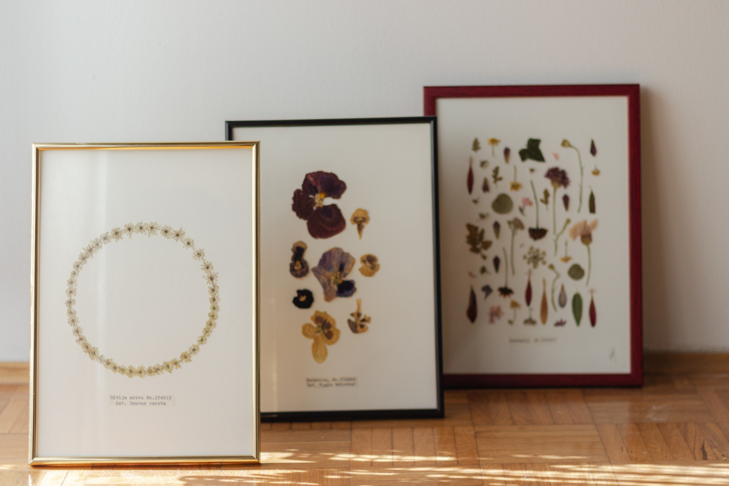 Radovi po narudžbi. Herbarij studio