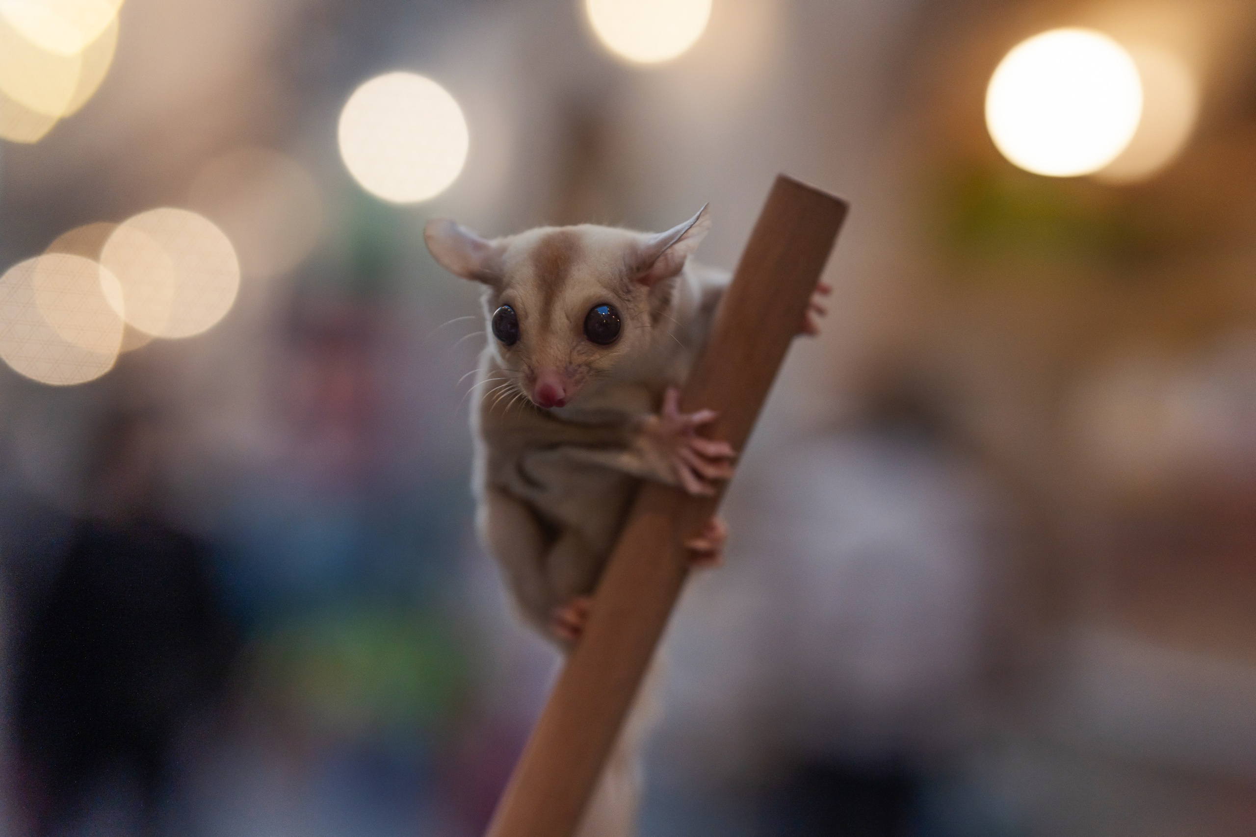 Atmospheric Doha. Family & fashion photographer in Doha