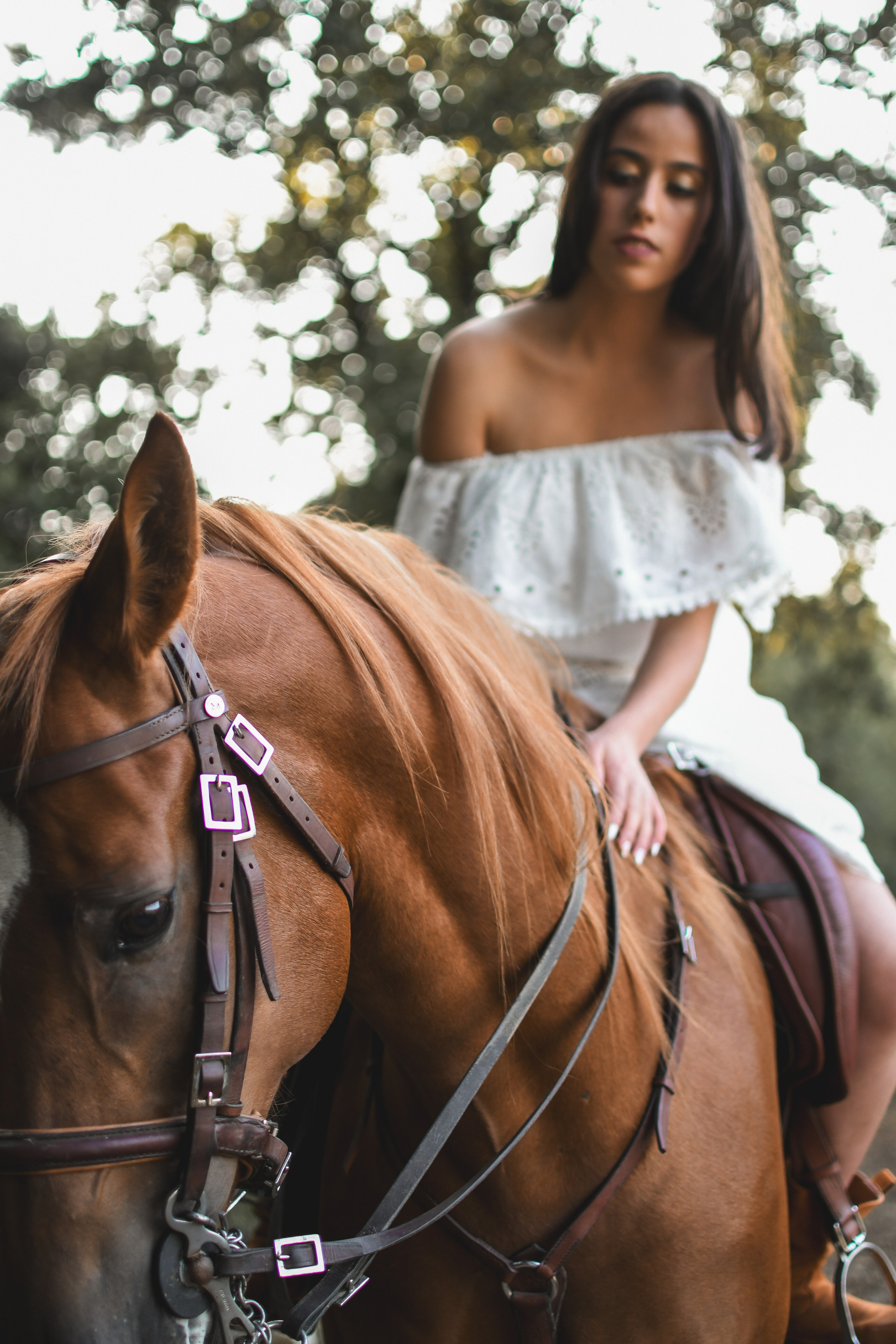 Horses. Niaferreiraphotography