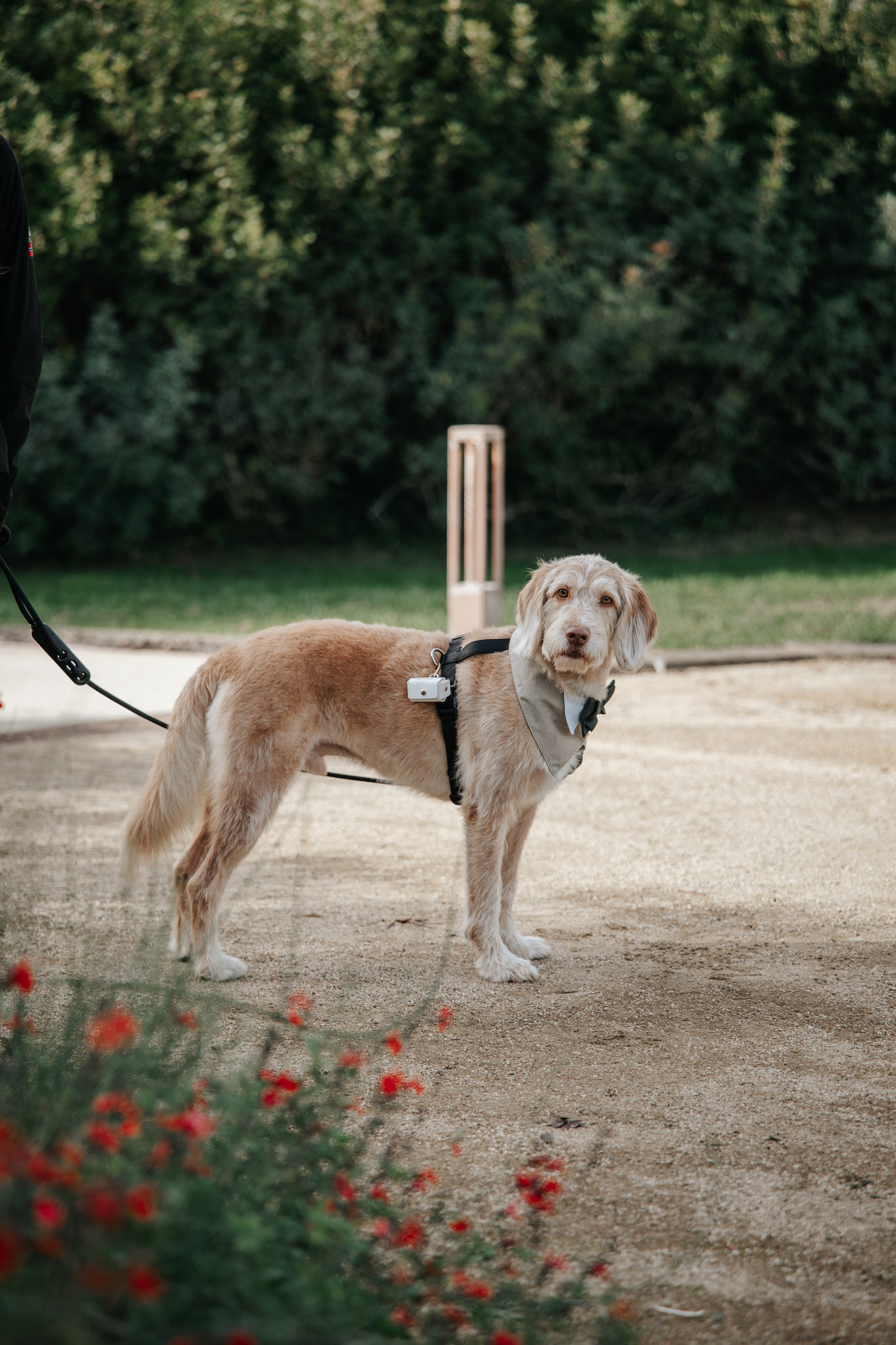 Olga & Fran, 24/10/2026, Mas Geroni. Wedding photographer in Girona and Costa Brava| Evgenia Gruntovaya