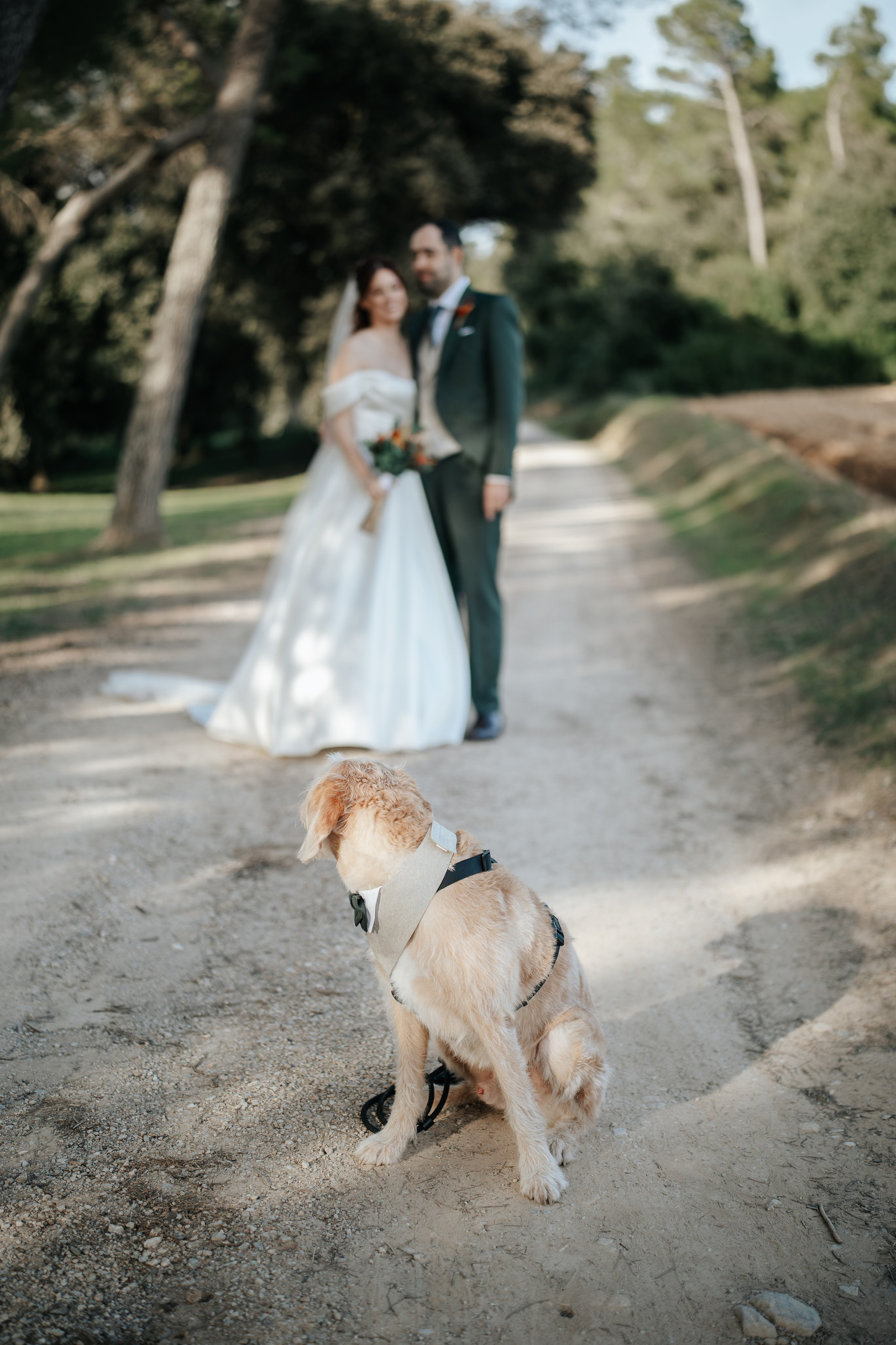 Olga & Fran, 24/10/2026, Mas Geroni. Wedding photographer in Girona and Costa Brava| Evgenia Gruntovaya