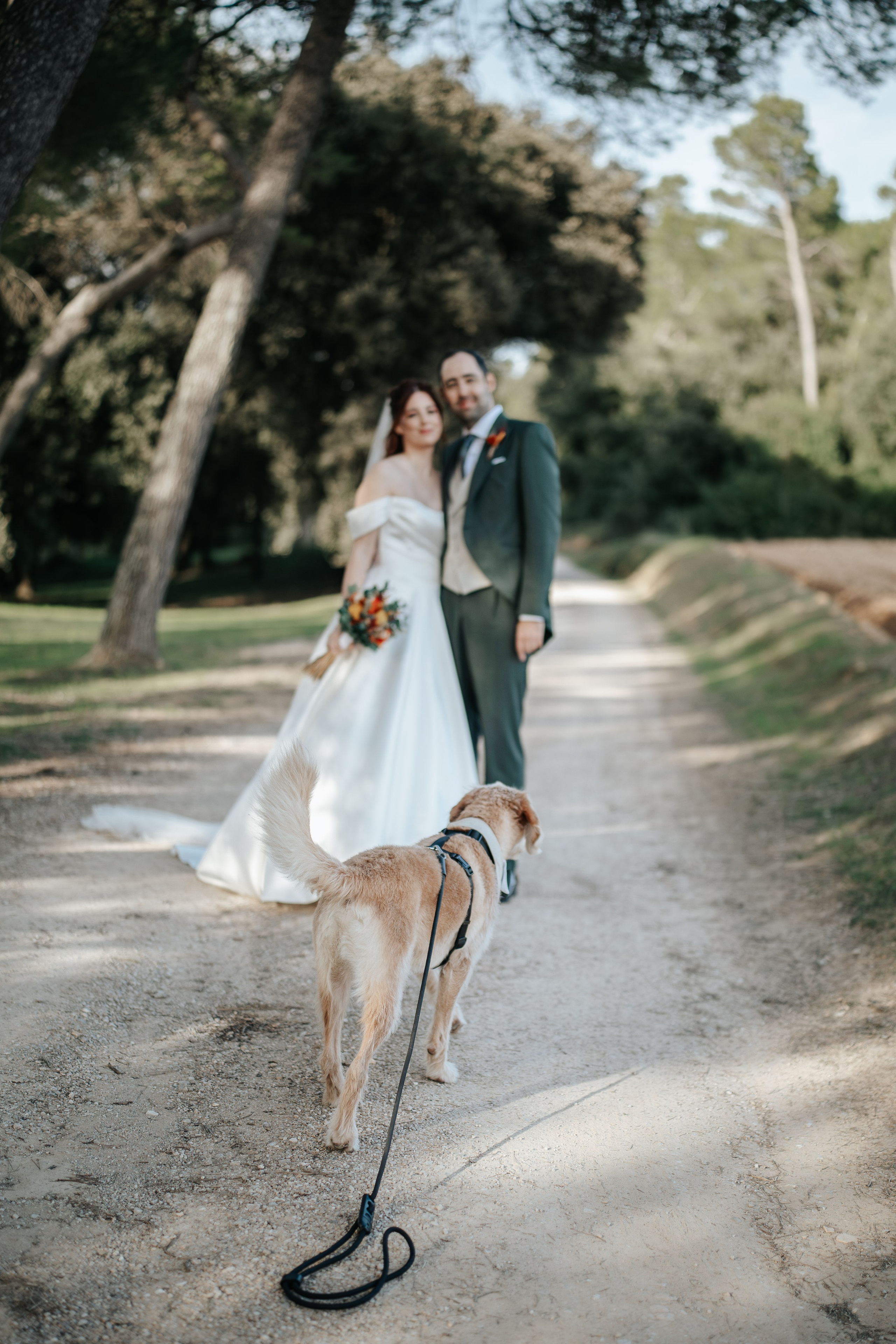 Olga & Fran, 24/10/2026, Mas Geroni. Wedding photographer in Girona and Costa Brava| Evgenia Gruntovaya