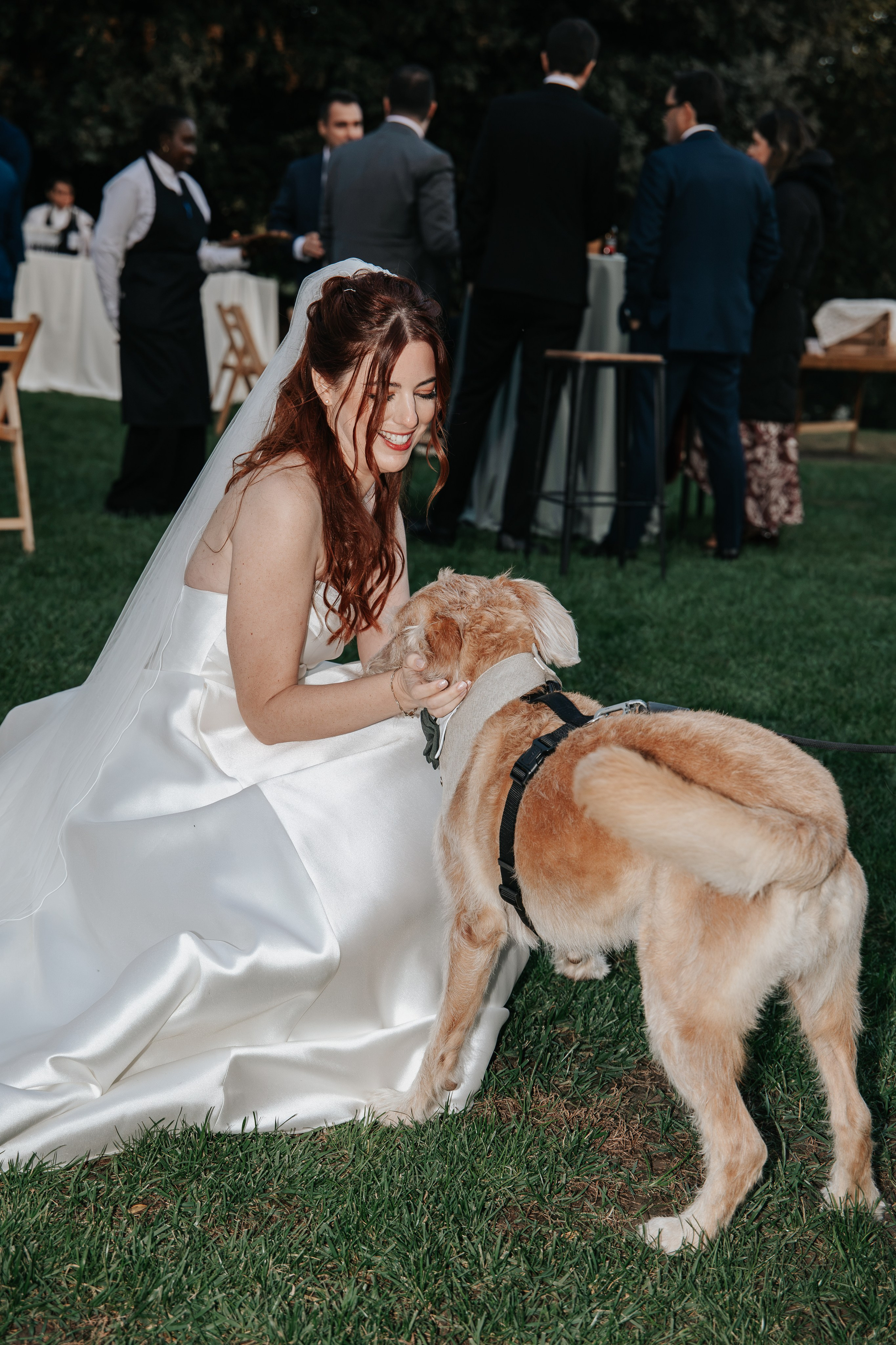 Olga & Fran, 24/10/2026, Mas Geroni. Wedding photographer in Girona and Costa Brava| Evgenia Gruntovaya
