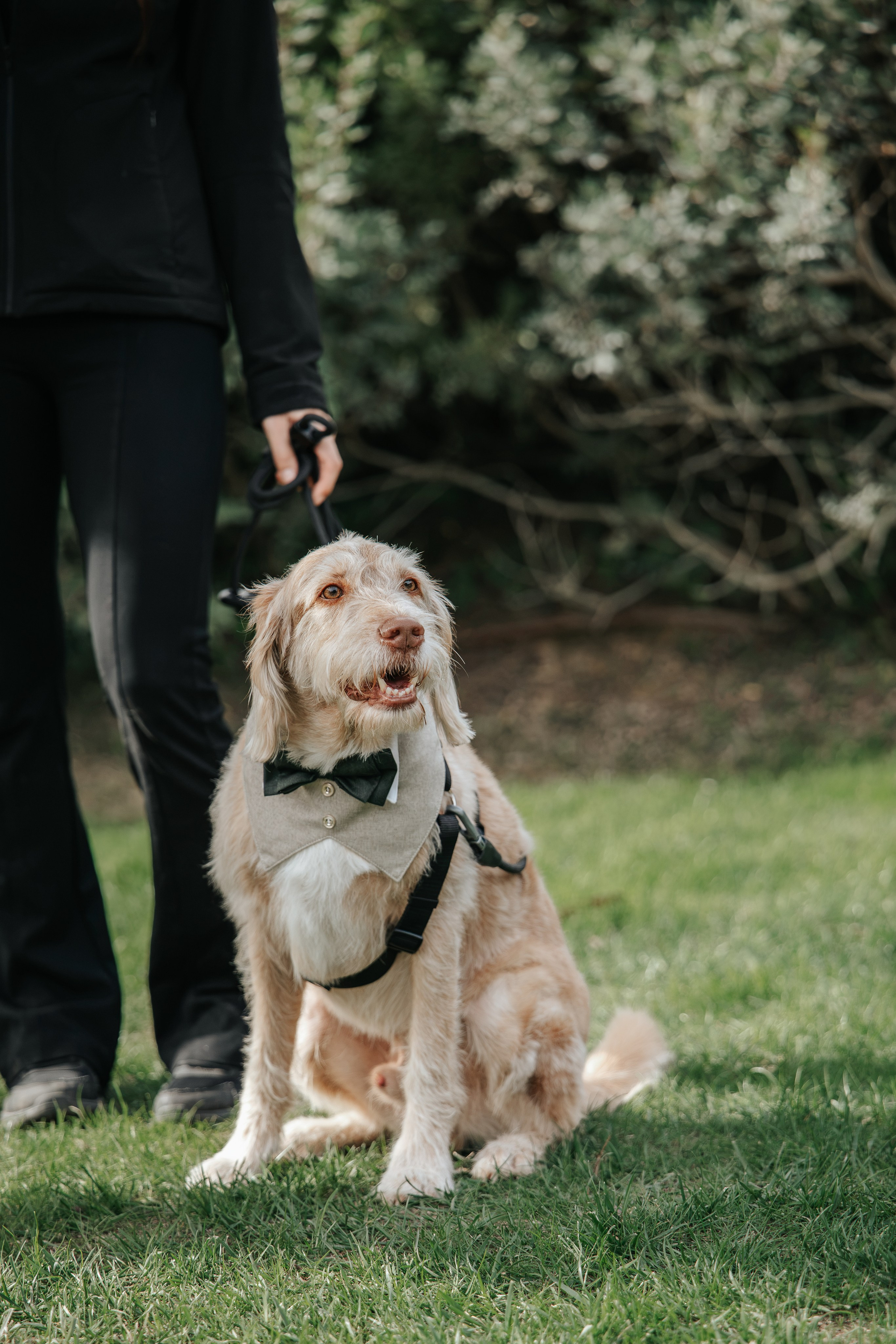 Olga & Fran, 24/10/2026, Mas Geroni. Wedding photographer in Girona and Costa Brava| Evgenia Gruntovaya