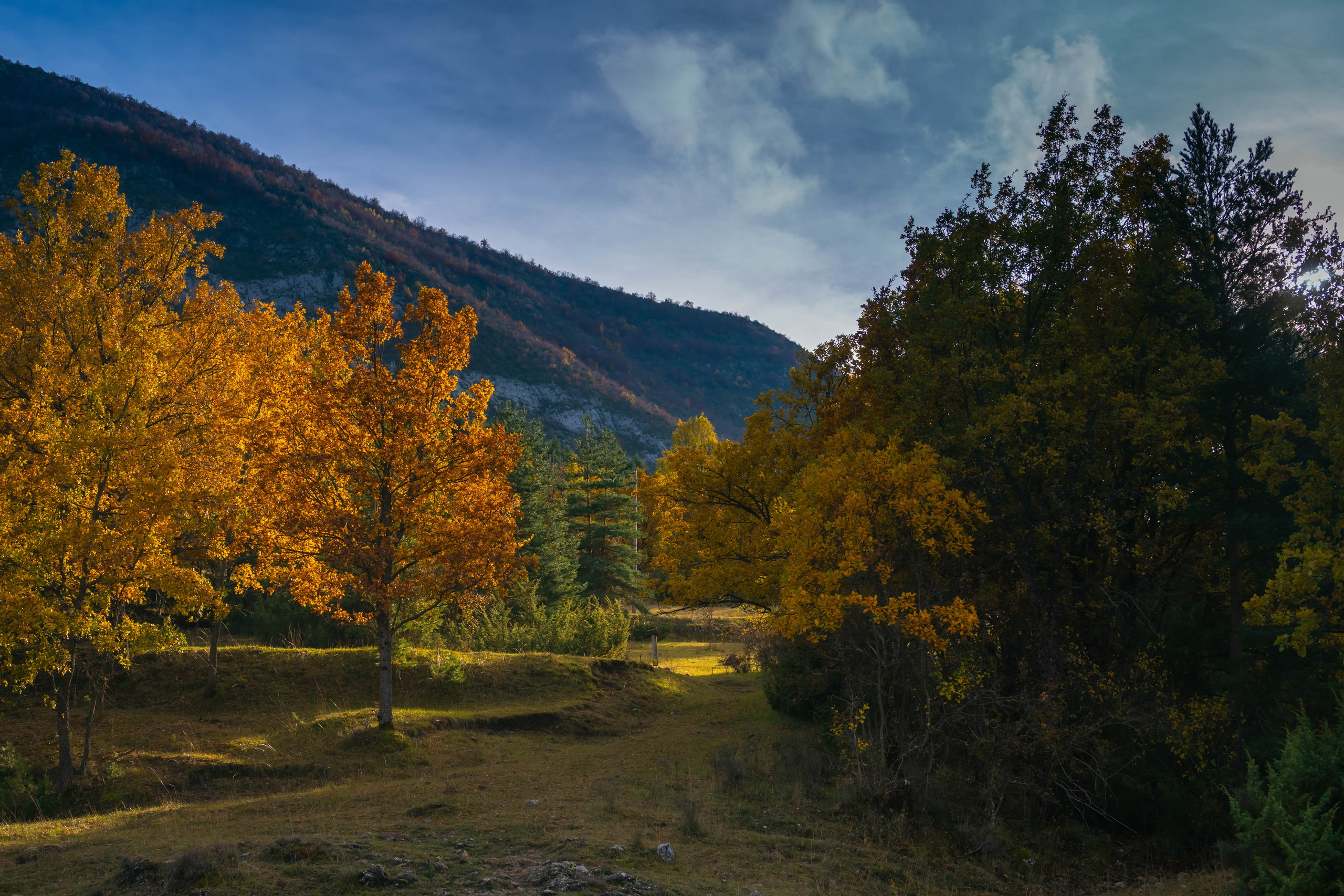 Ruta Otoño. Alba del Norte Studio