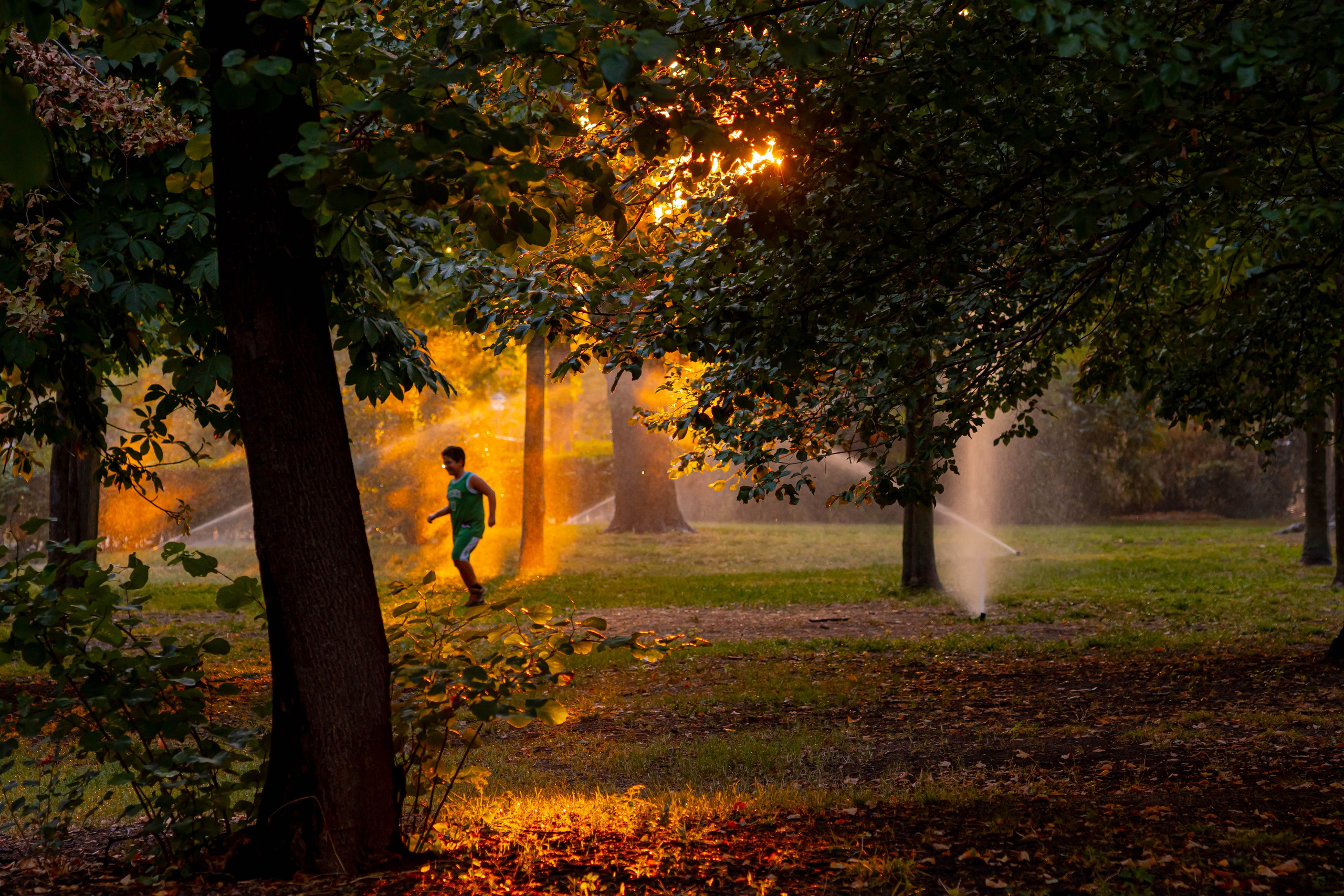 Bocetos. Alba del Norte Studio