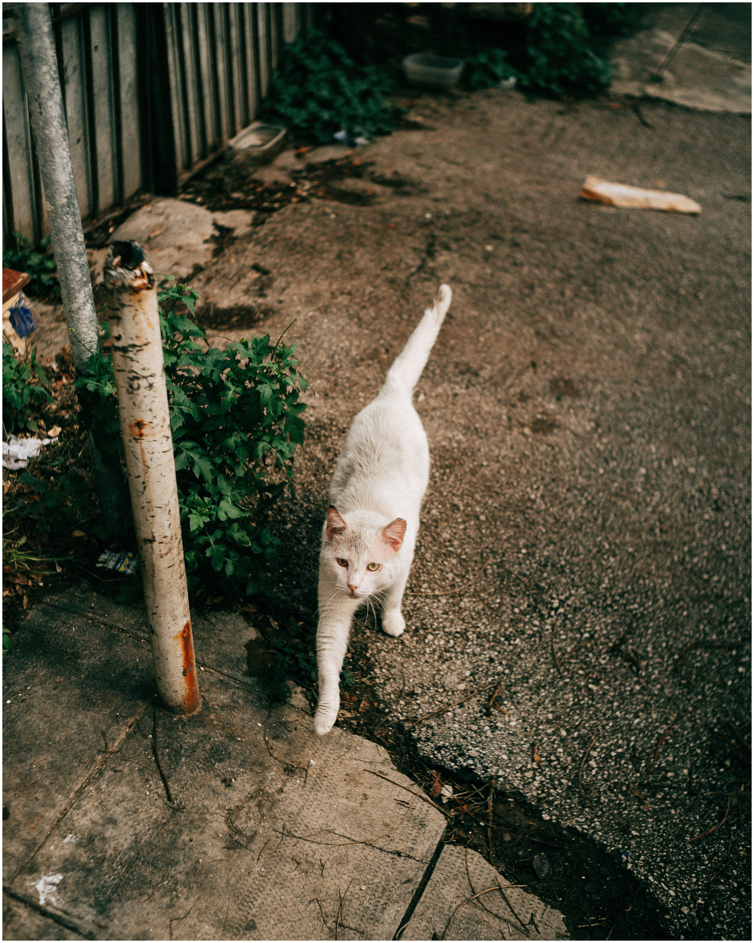 PALERMO. Photographer Inna Mendelson