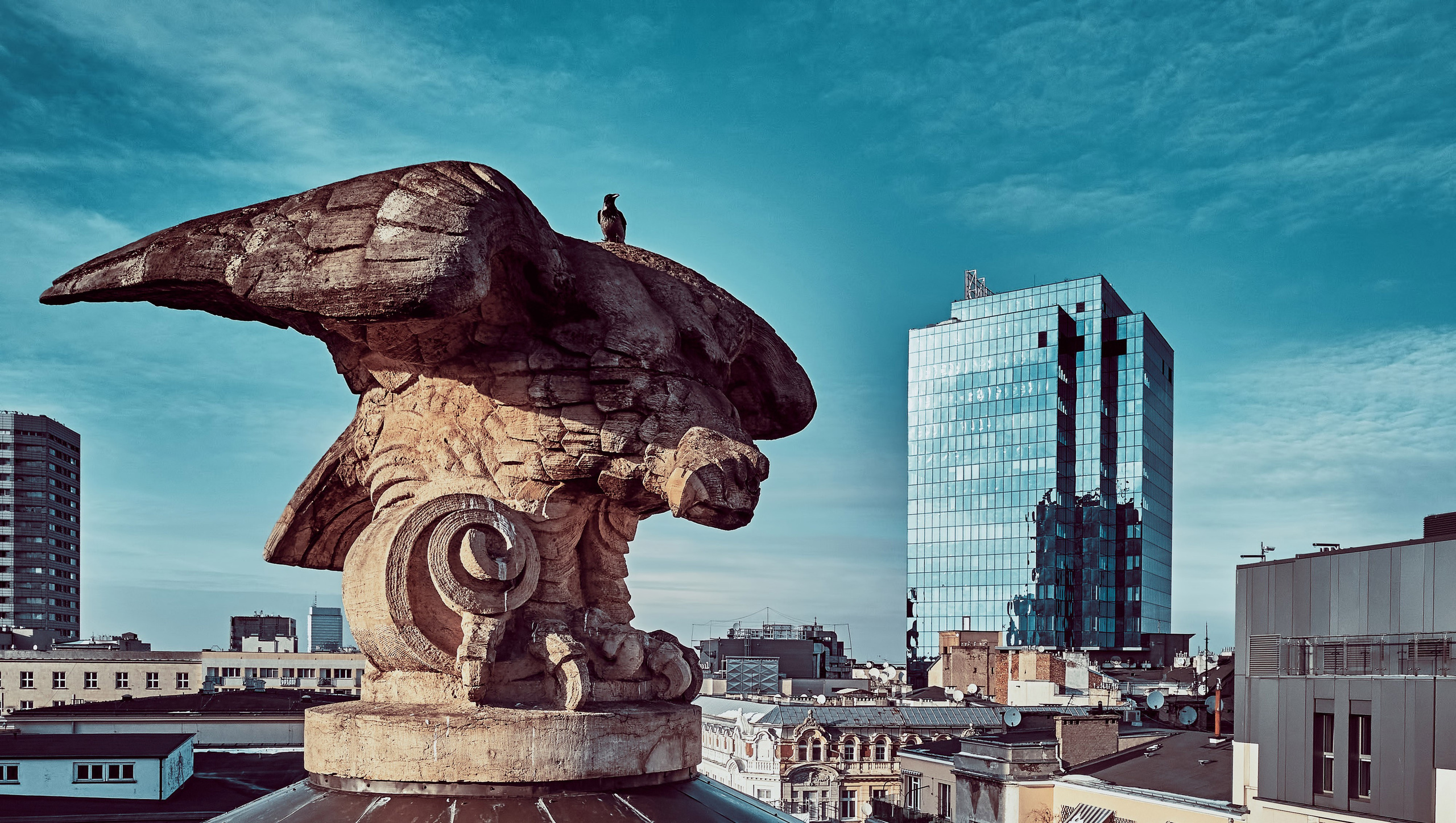 Lotnicza dronowa fotografia Warszawy - Miasto widziane z lotu ptaka. Андрей Шипилов — Фотография & Видеография