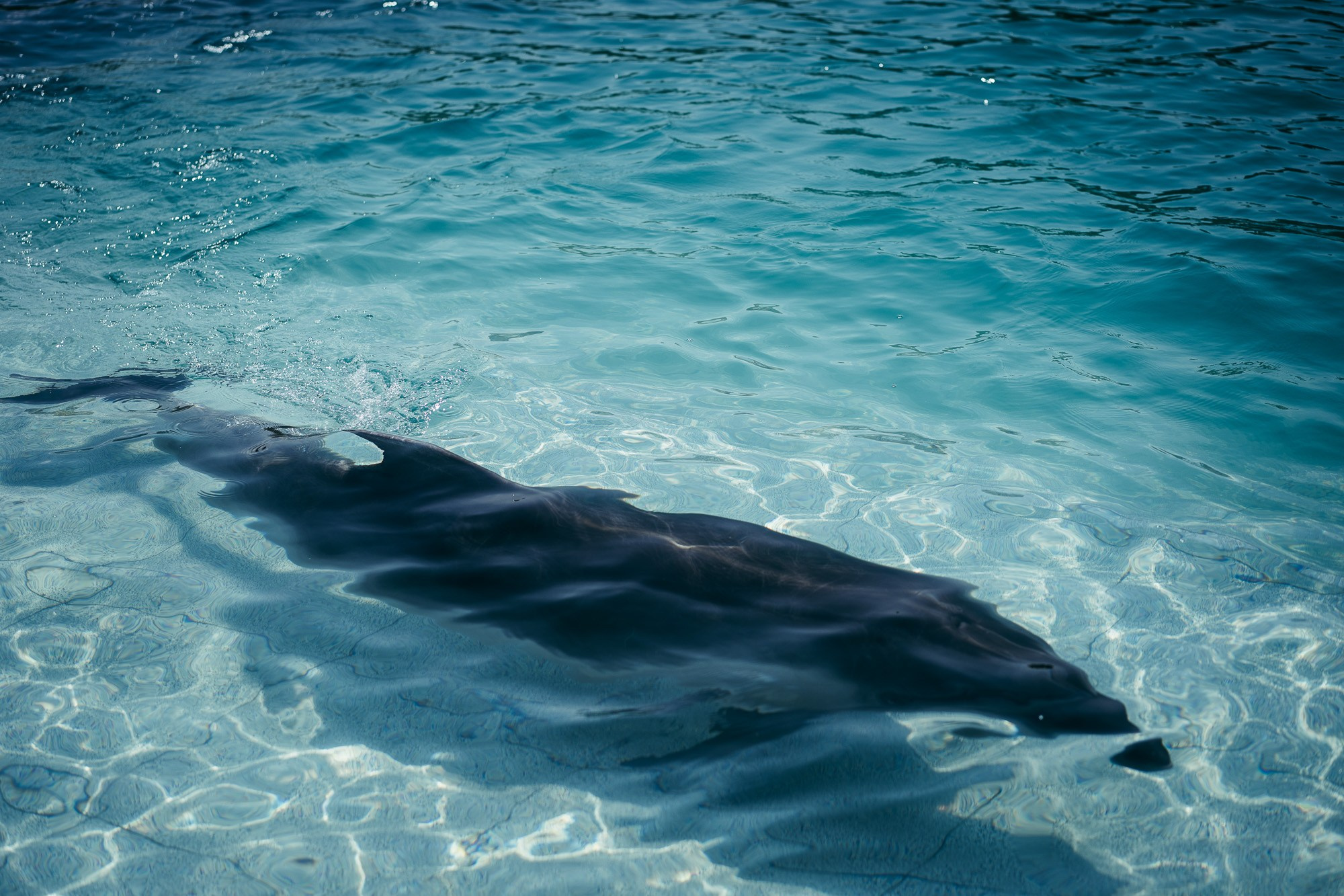 200 kilohertz. Stanislava Novgorodtseva — Photographer | Visual Artist | Educator