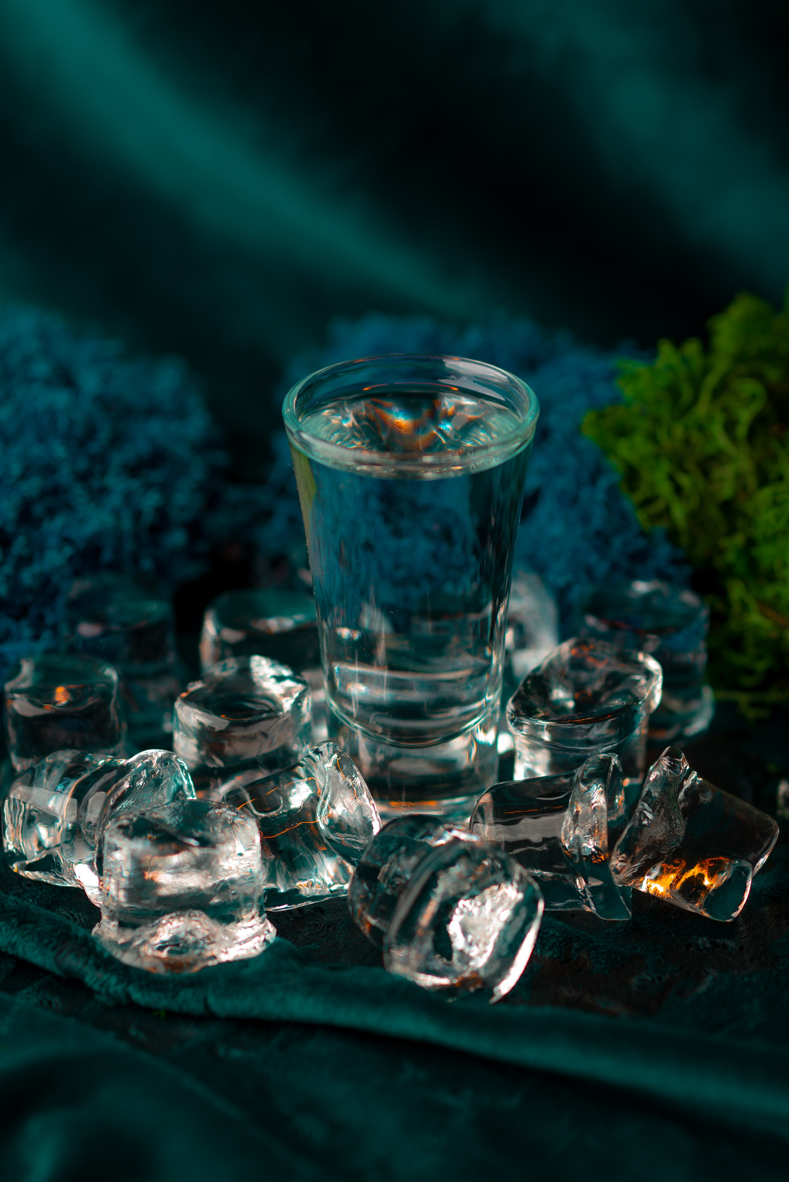 FOOD Photo. ST.PHOTO13